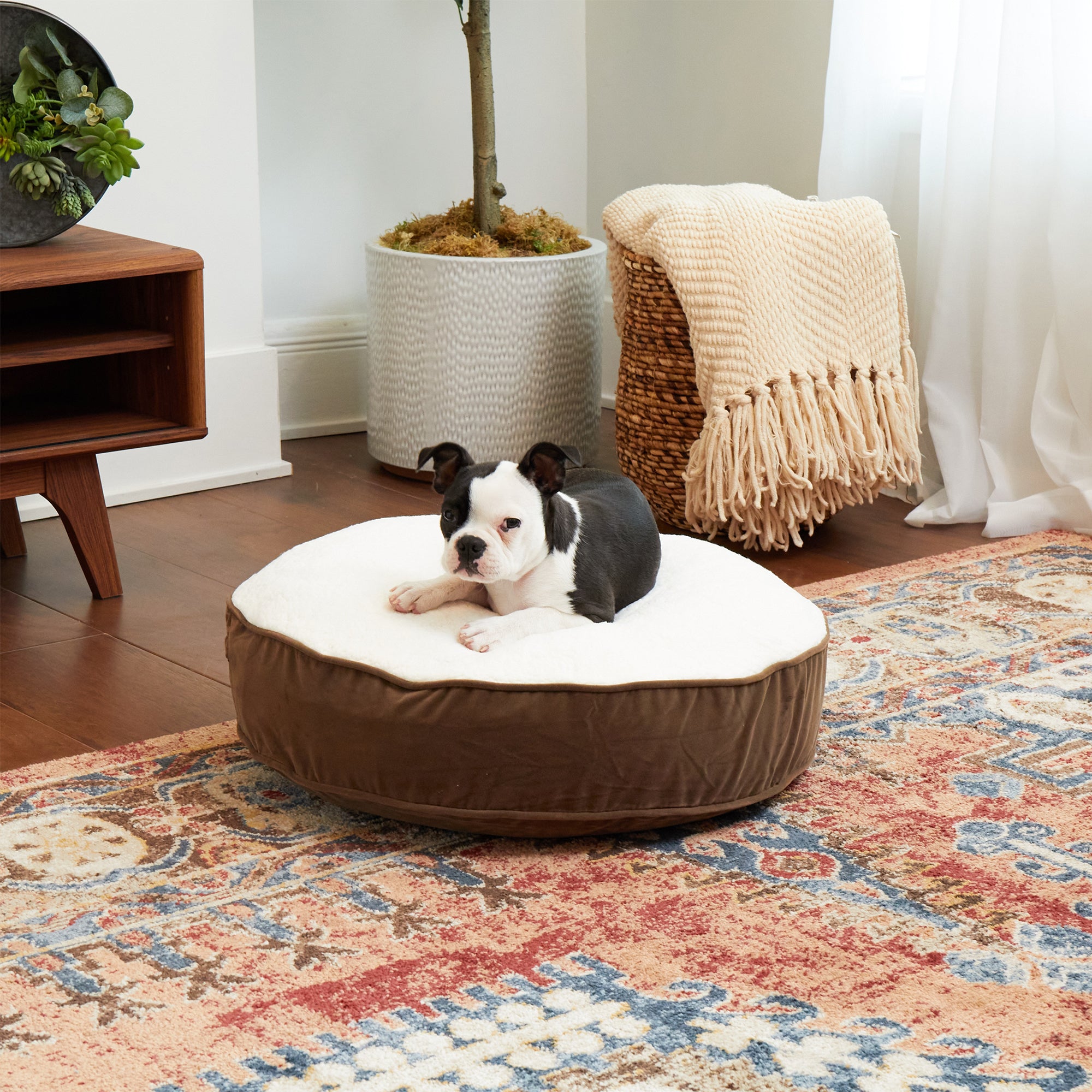 Happy Hounds Pet Products Scout Deluxe Round Dog Bed， Extra Small， 24