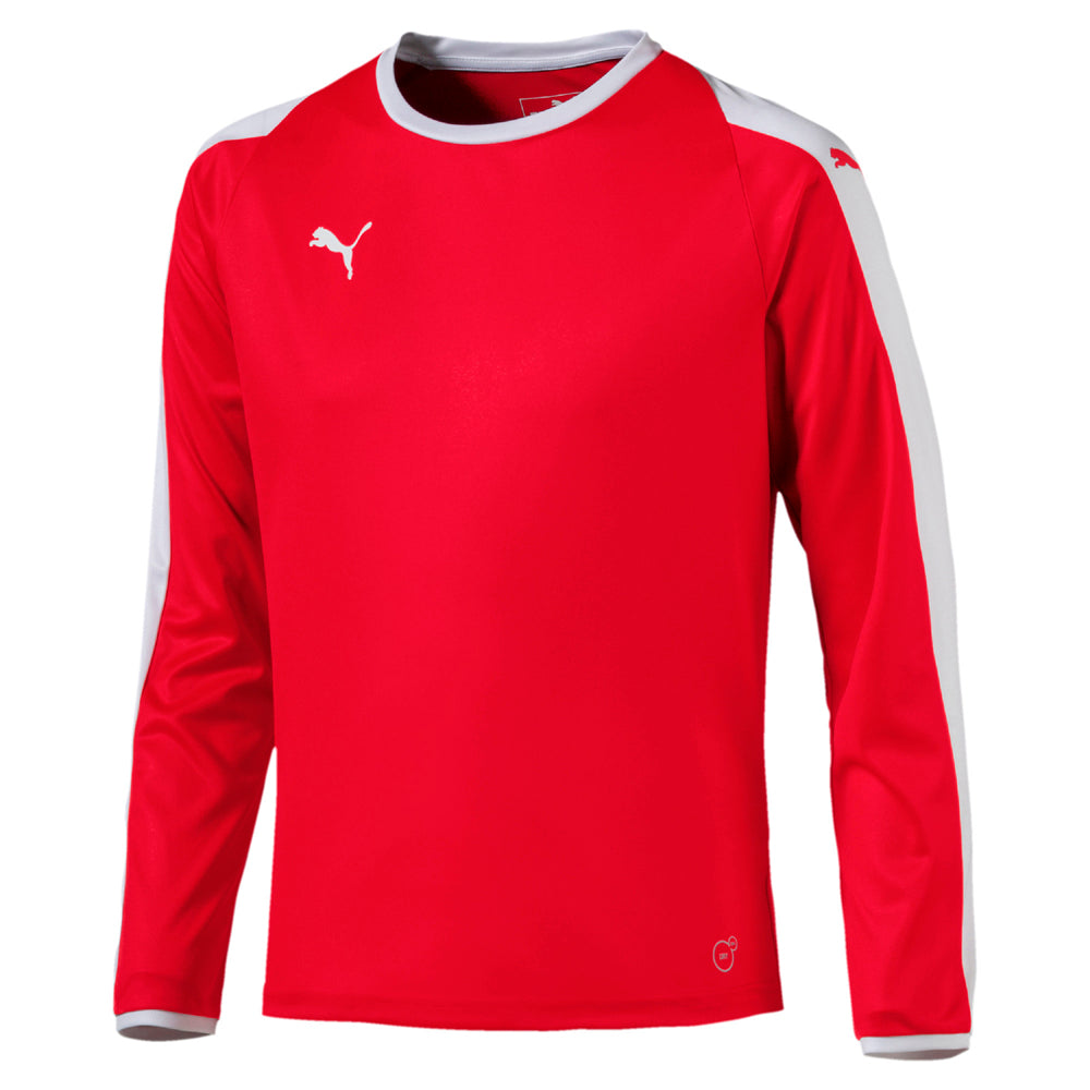 Striped Crew Neck Long Sleeve Soccer Jersey (Youth)