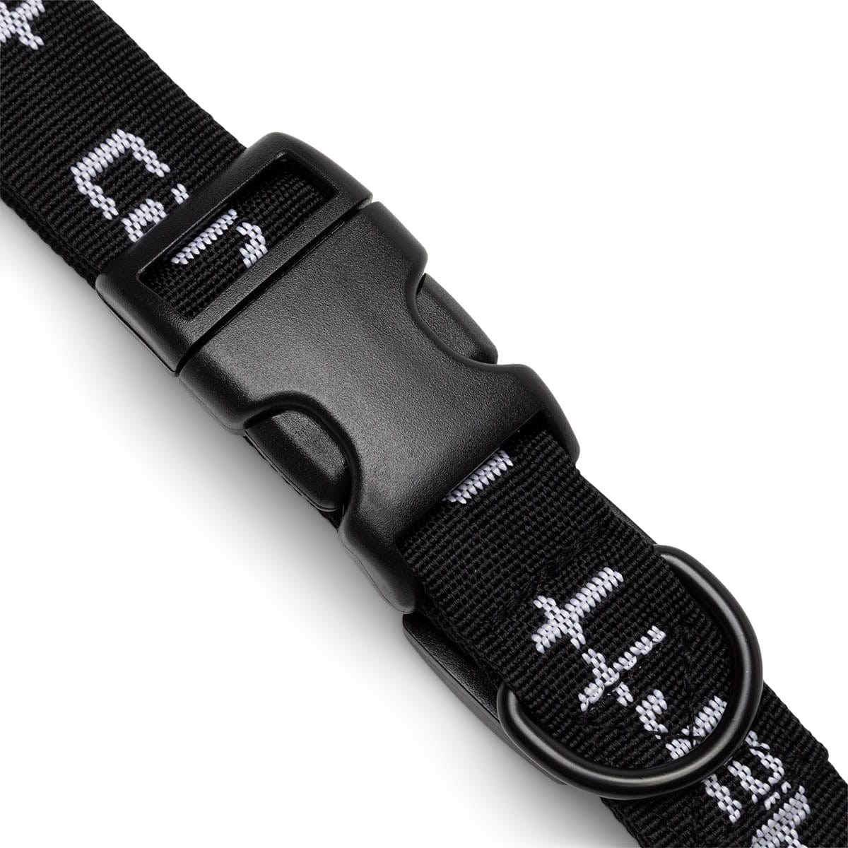 SCRIPT DOG LEASH & COLLAR