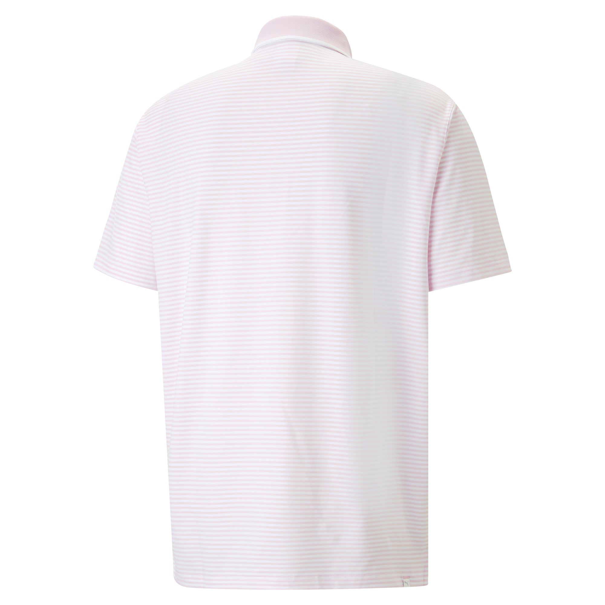 AP MATTR Traditions Golf Polo