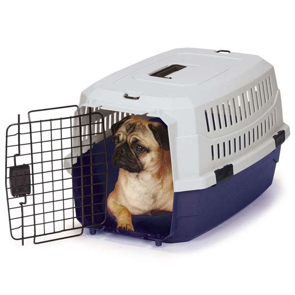 Pet Travel Crate Heavy Duty Plastic Blue Grey Secure Dog Cage Airline Approved (Small)