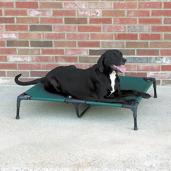 HDP Elevated Pet Bed Cot Size:XLarge