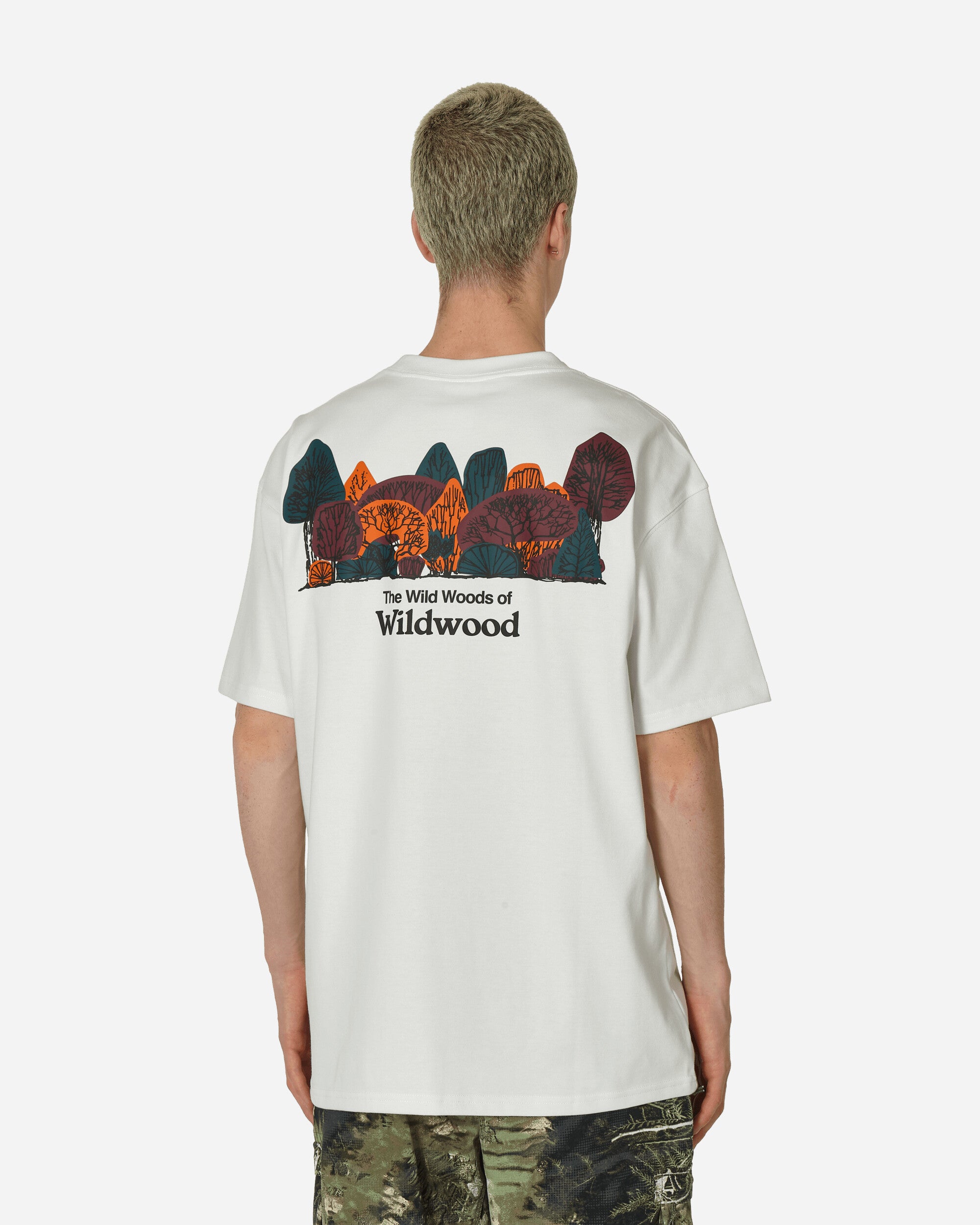 ACG Wildwood T-Shirt Summit White