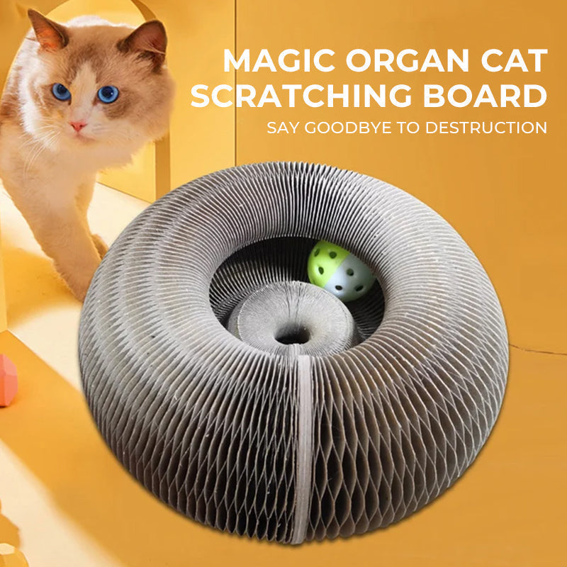 Magic Organ Cat Scratching Board