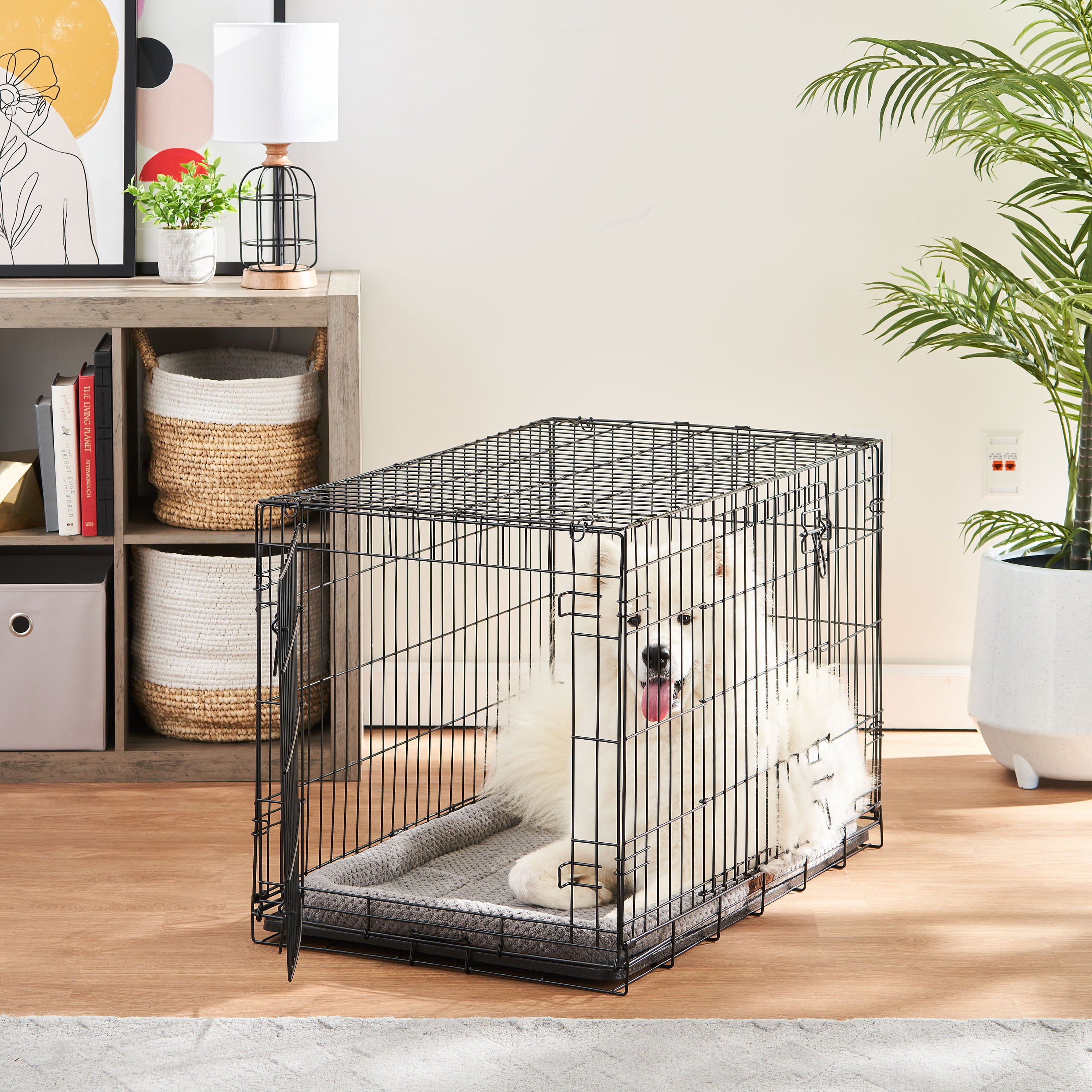 Vibrant Life Double-Door Folding Metal Wire Dog Crate with Divider and Tray， Large， 36