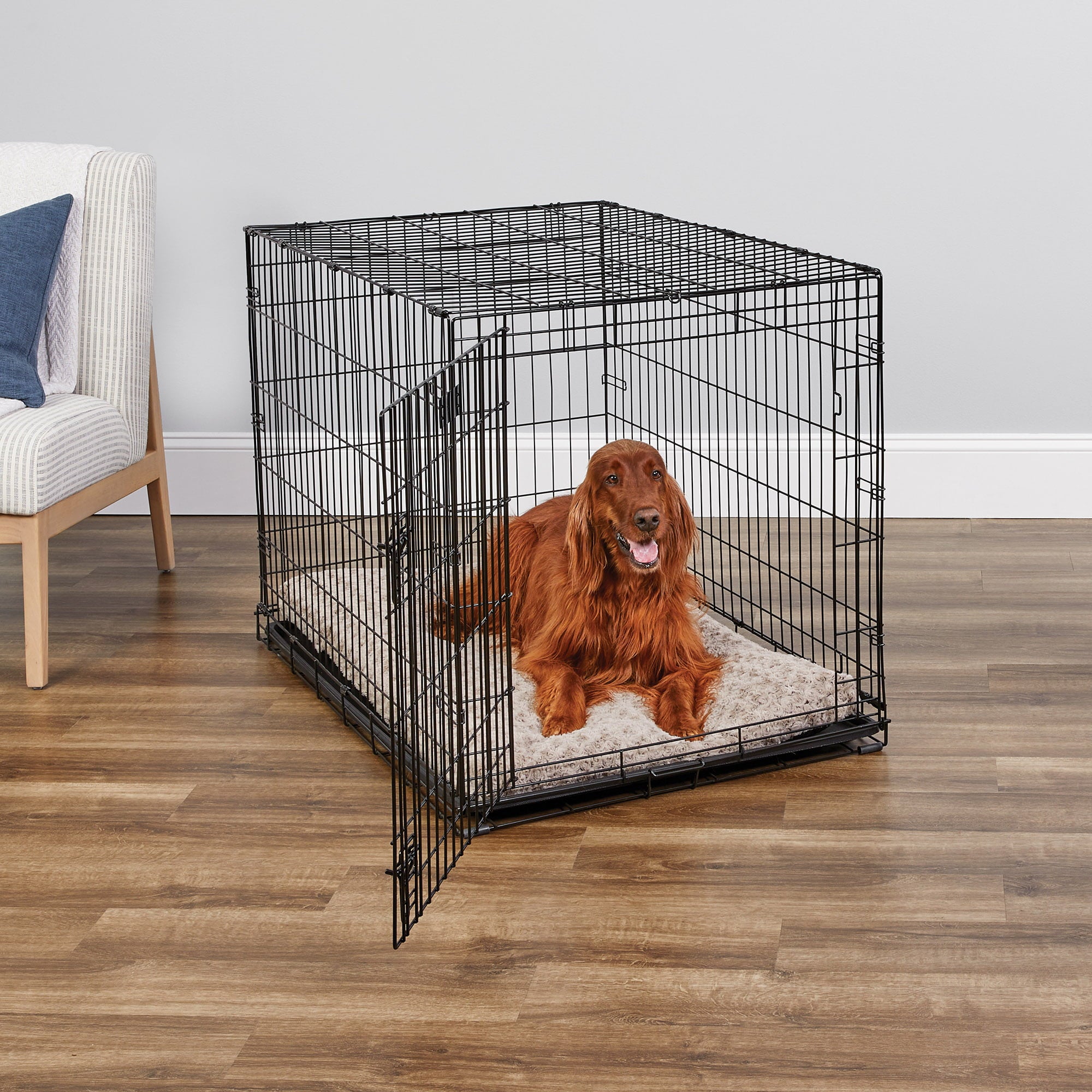 Large Dog Crate | MidWest iCrate Folding Metal Dog Crate | Divider Panel， Floor Protecting Feet， Leak-Proof Dog Pan | 42L x 28W x 31H Inches， Large Dog