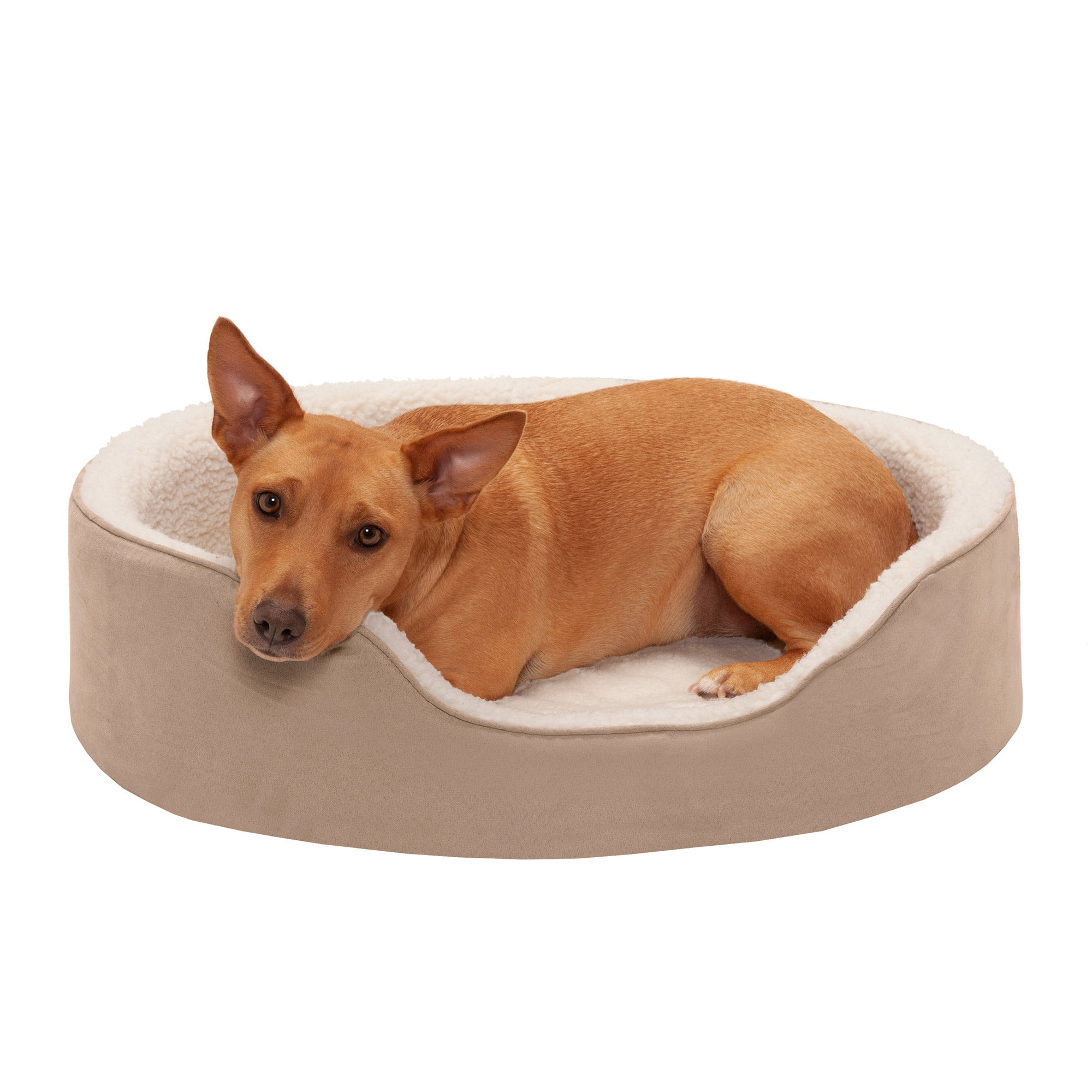 FurHaven | Orthopedic Faux Sheepskin and Suede Oval Pet Bed for Dogs and Cats， Clay， Large