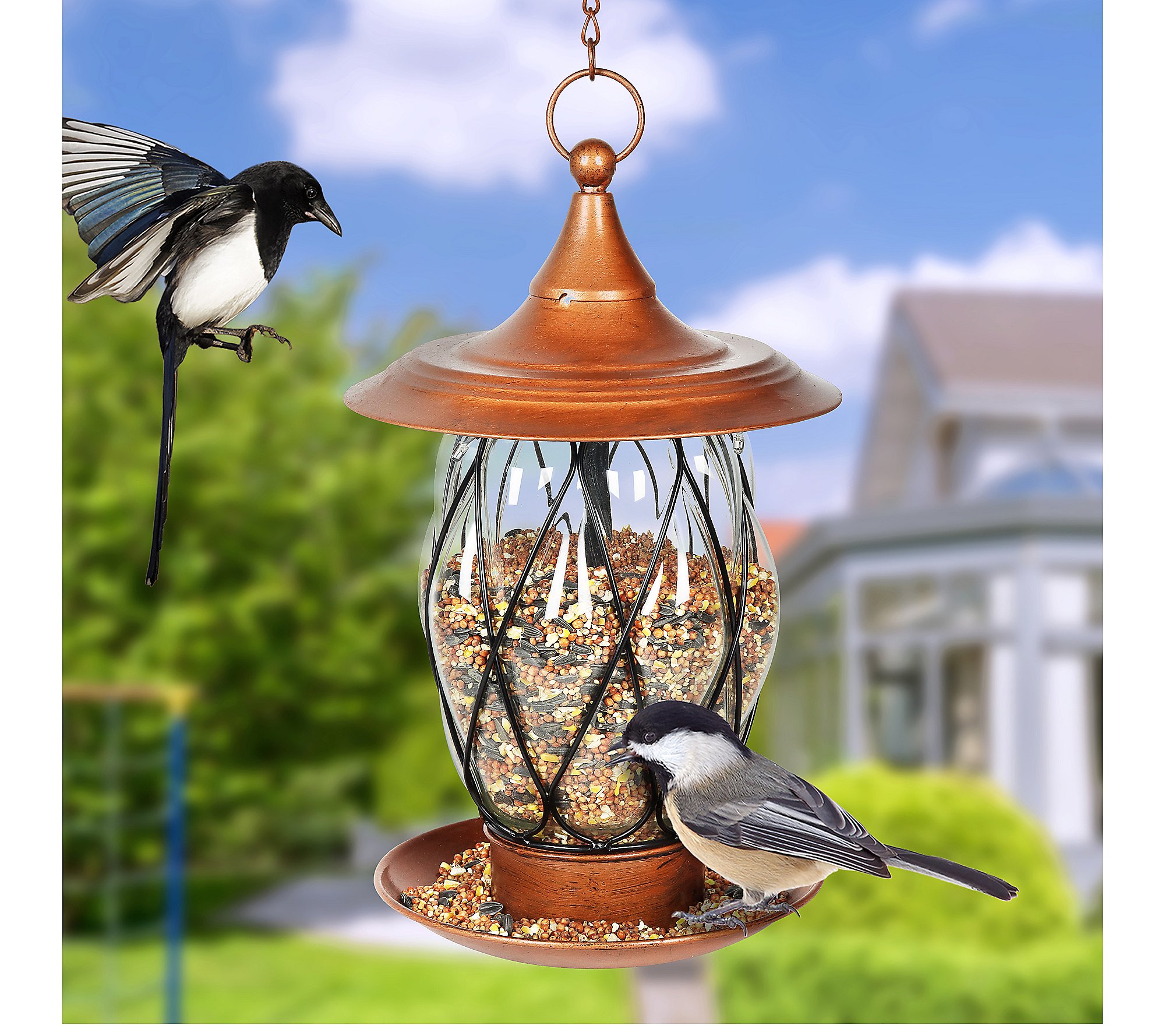 Exhart Solar Metal and Glass Bird Feeder