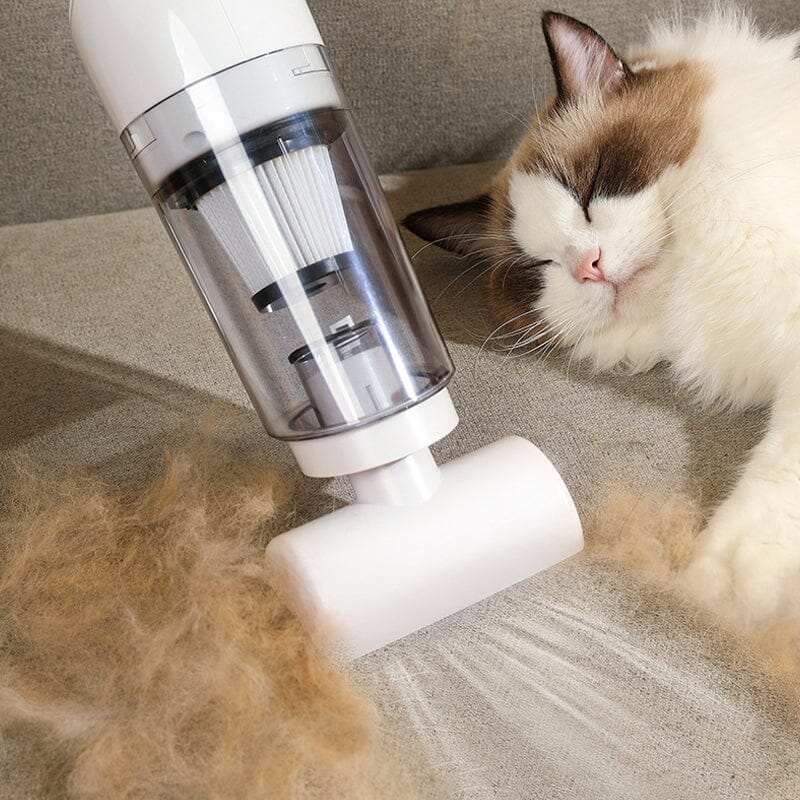 Pro Pet Grooming Kit