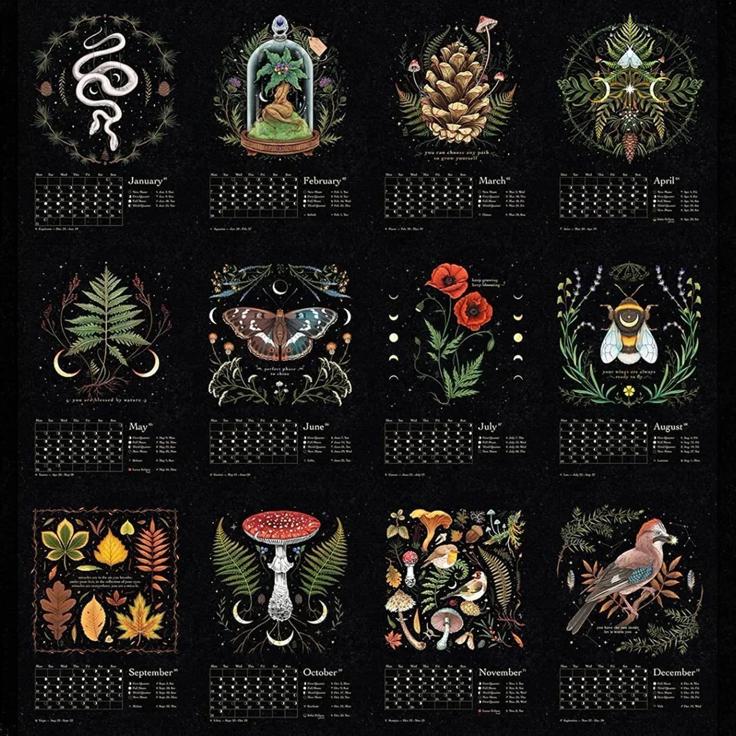 Dark Forest Lunar Calendar 2023 Wall Animal Calendars with 12 Original Illustrations