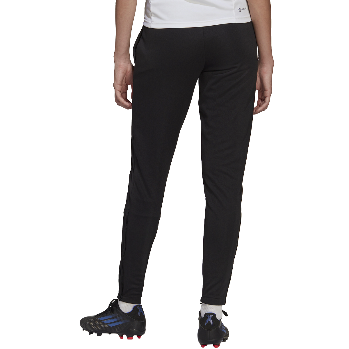 Women's Entrada 22 Track Pant