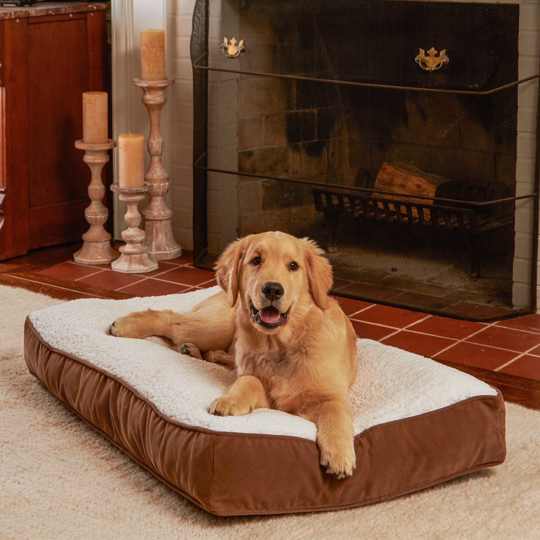 Happy Hounds Buster Sherpa Rectangle Pillow Style Dog Bed， Latte， Small (36 x 24 in.)