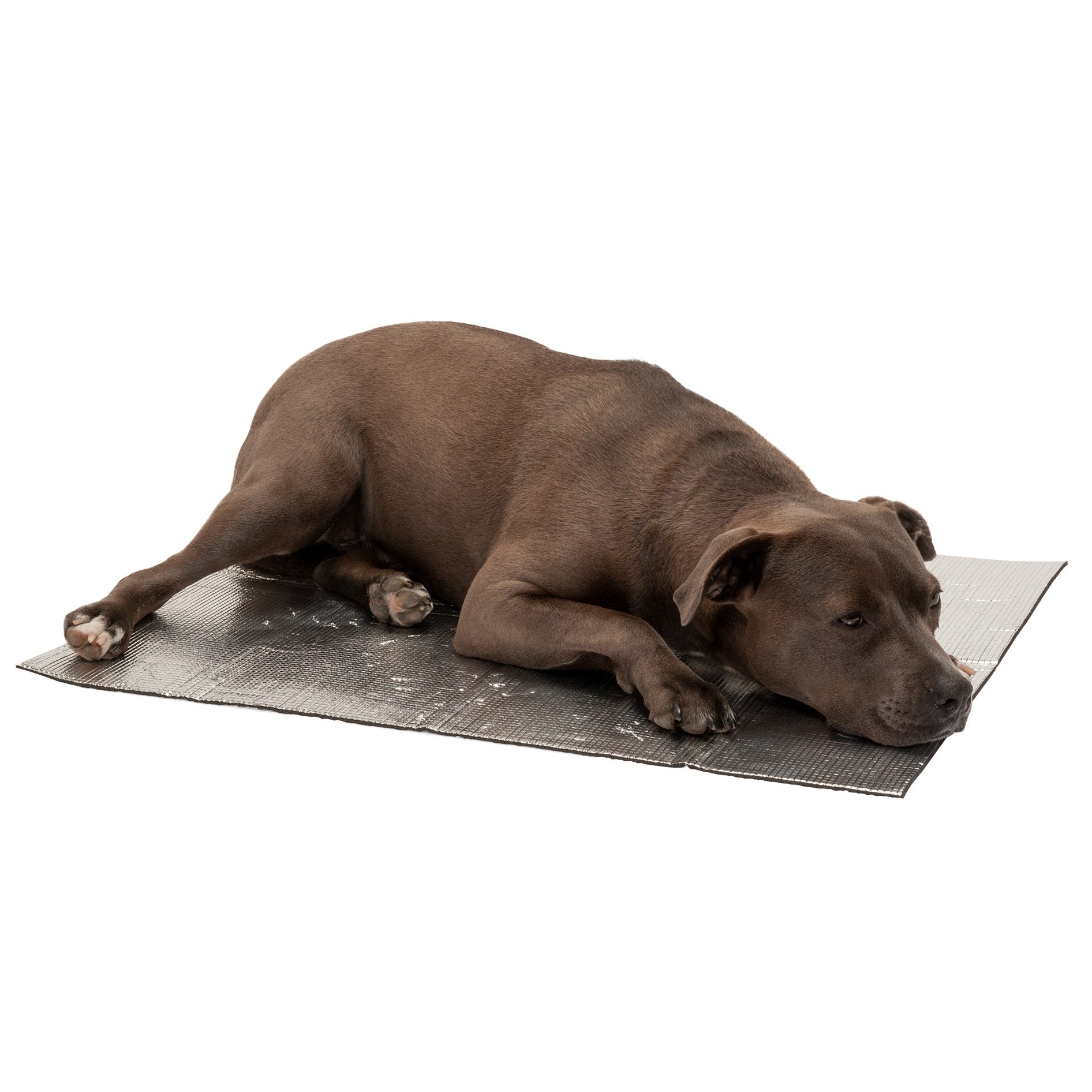 FurHaven Pet Heating Pad | ThermaPup Self-Warming Pad， Silver， Large