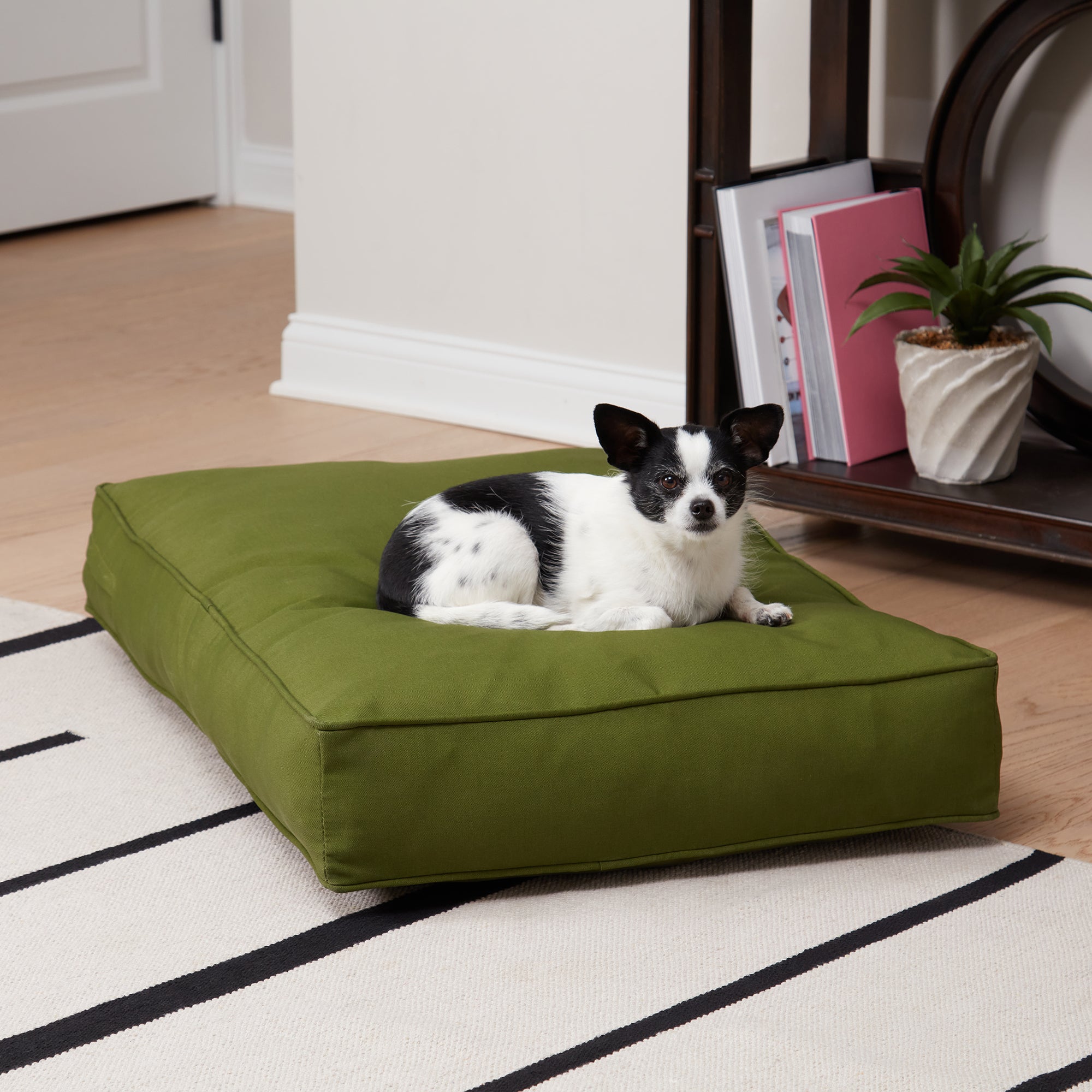 Happy Hounds Casey Indoor/Outdoor Pillow Style Dog Bed， Hunter， Small (36 x 24 in.)