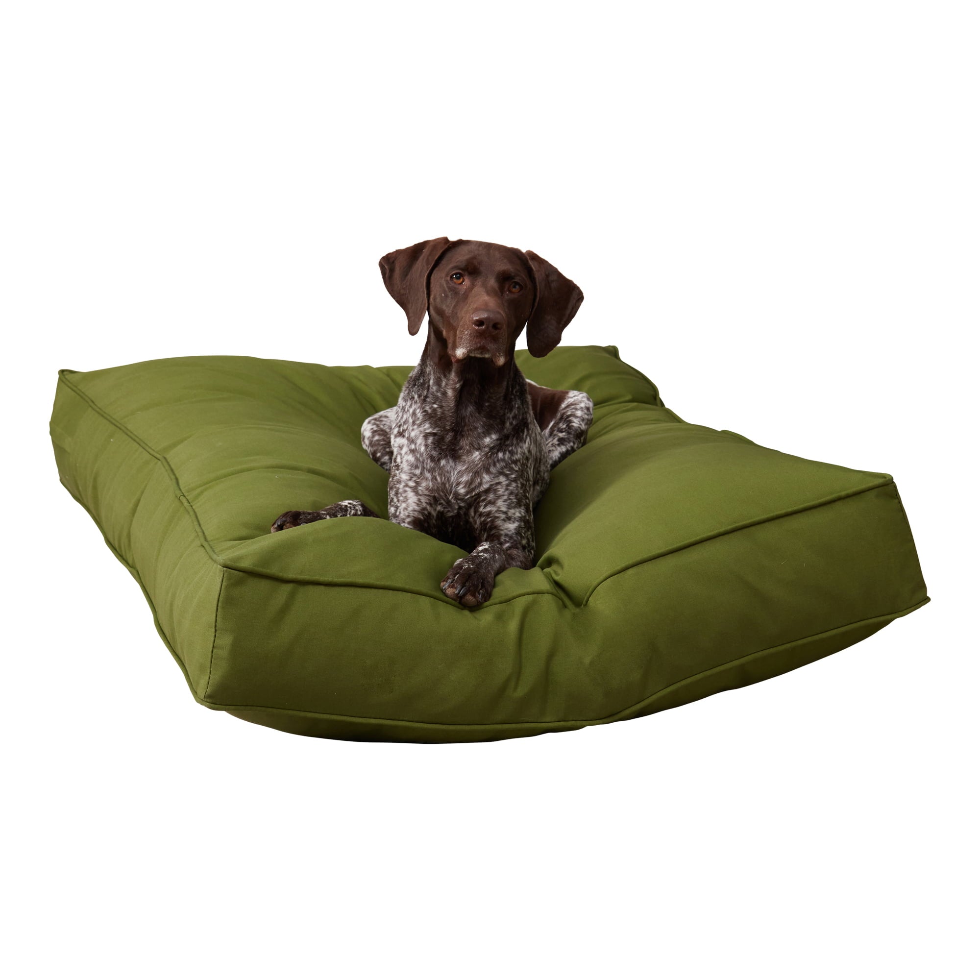 Happy Hounds Casey Indoor/Outdoor Pillow Style Dog Bed， Hunter， Large (48 x 36 in.)