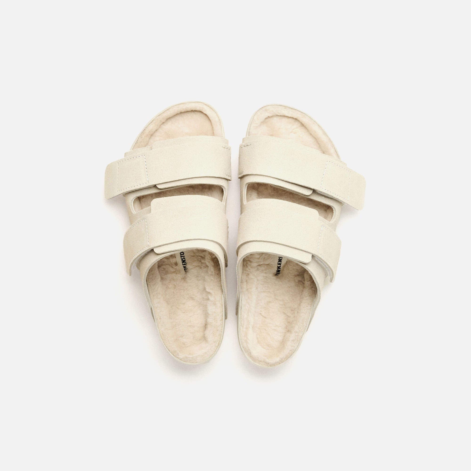 Birkenstock x Tekla Uji Suede - Powder