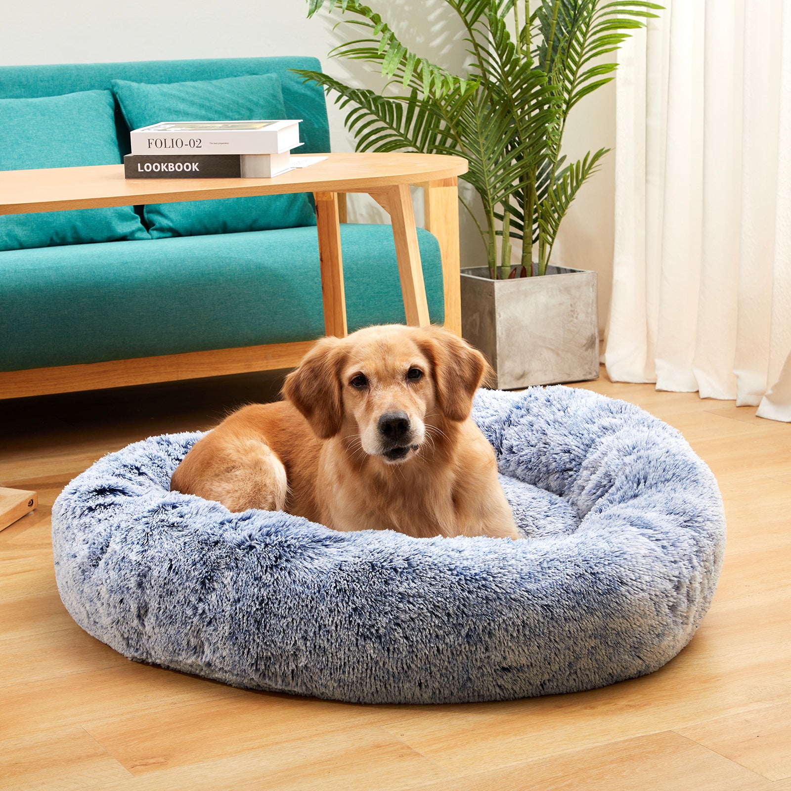 Bedfolks Calming Donut Dog Cuddler Bed， 36