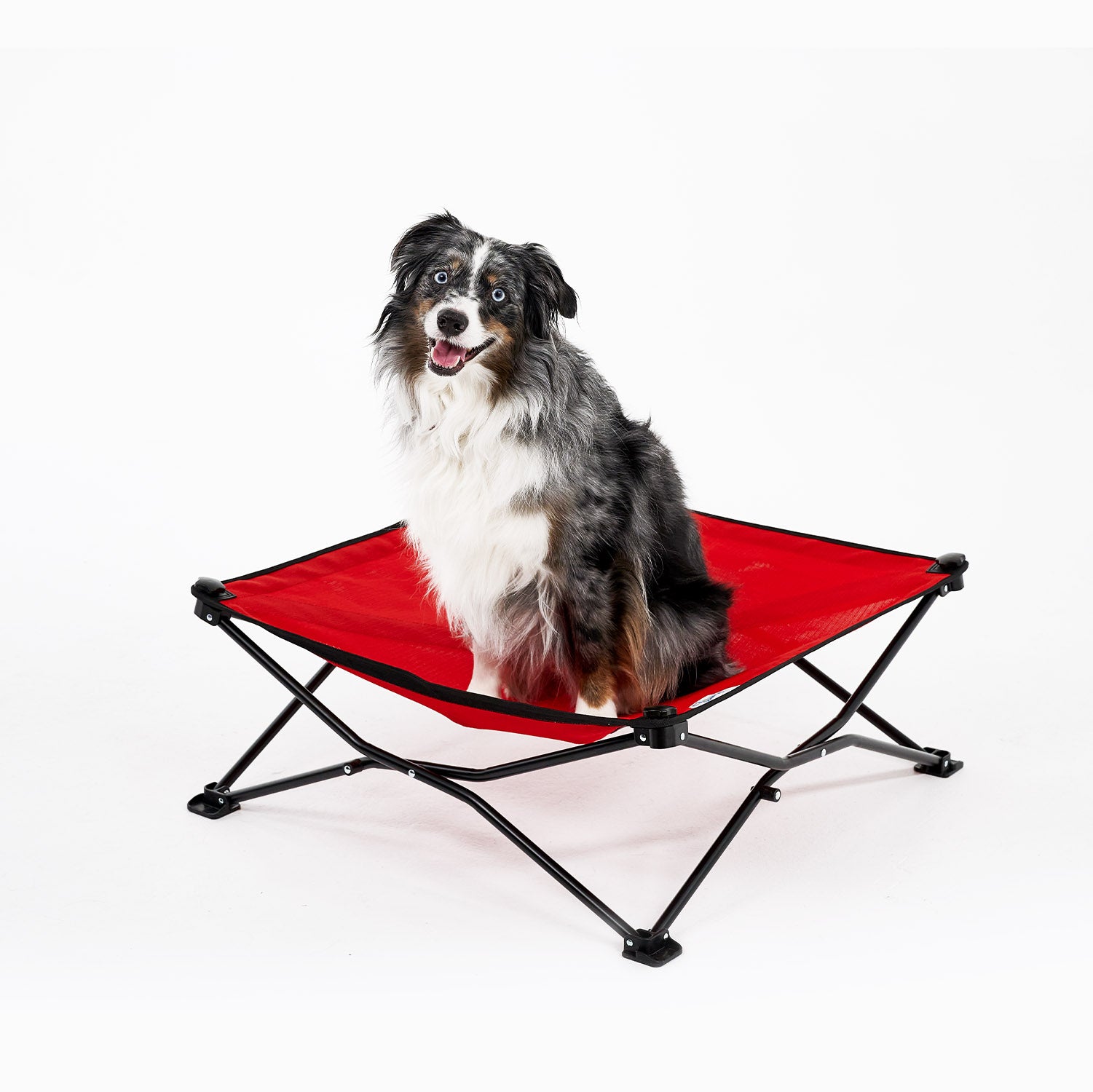 Coolaroo On the Go Elevated Travel Dog Bed， Medium， Red