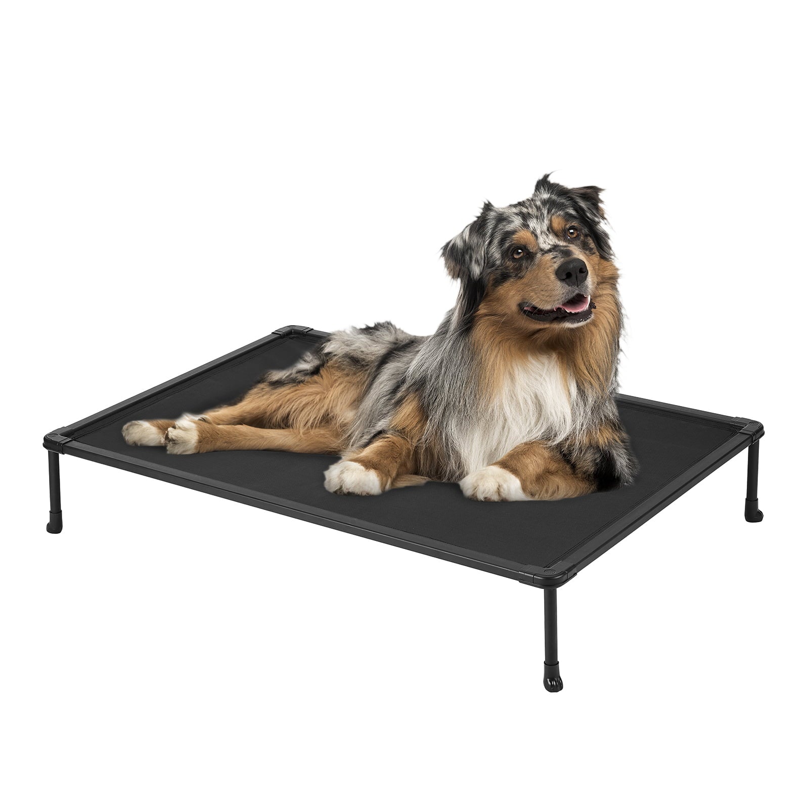 Veehoo Chewproof Dog Bed， Cooling Raised Dog Cots with Black Metal Frame， Medium， Black