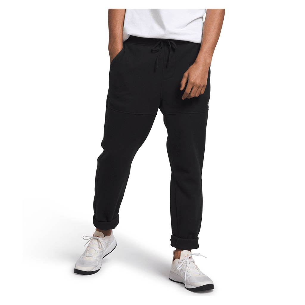 Alpine Polartec® 100 pants - TNF black