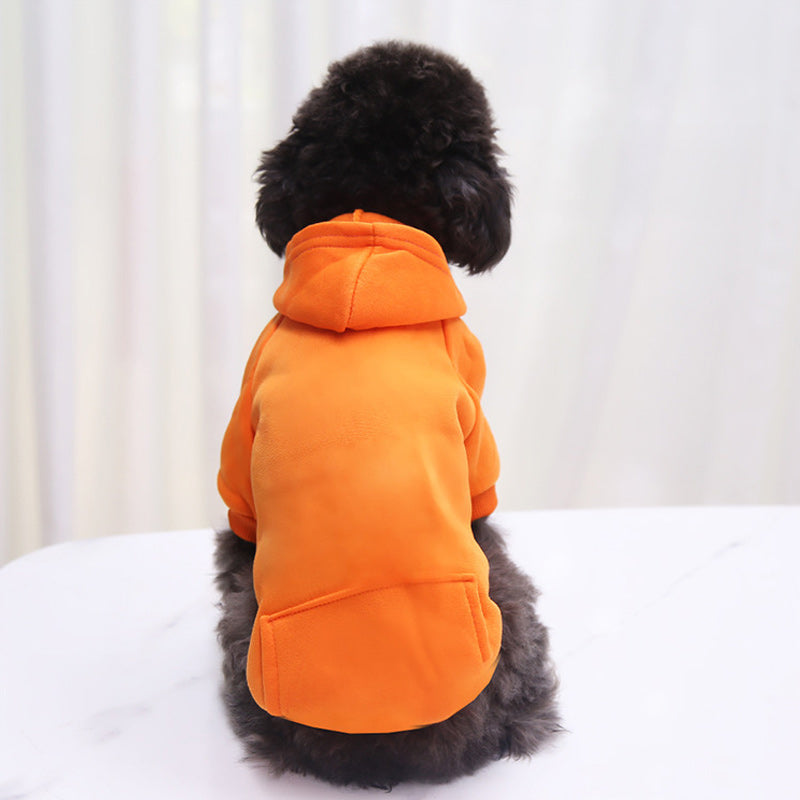 Winter Dog Hoodie With Pockets