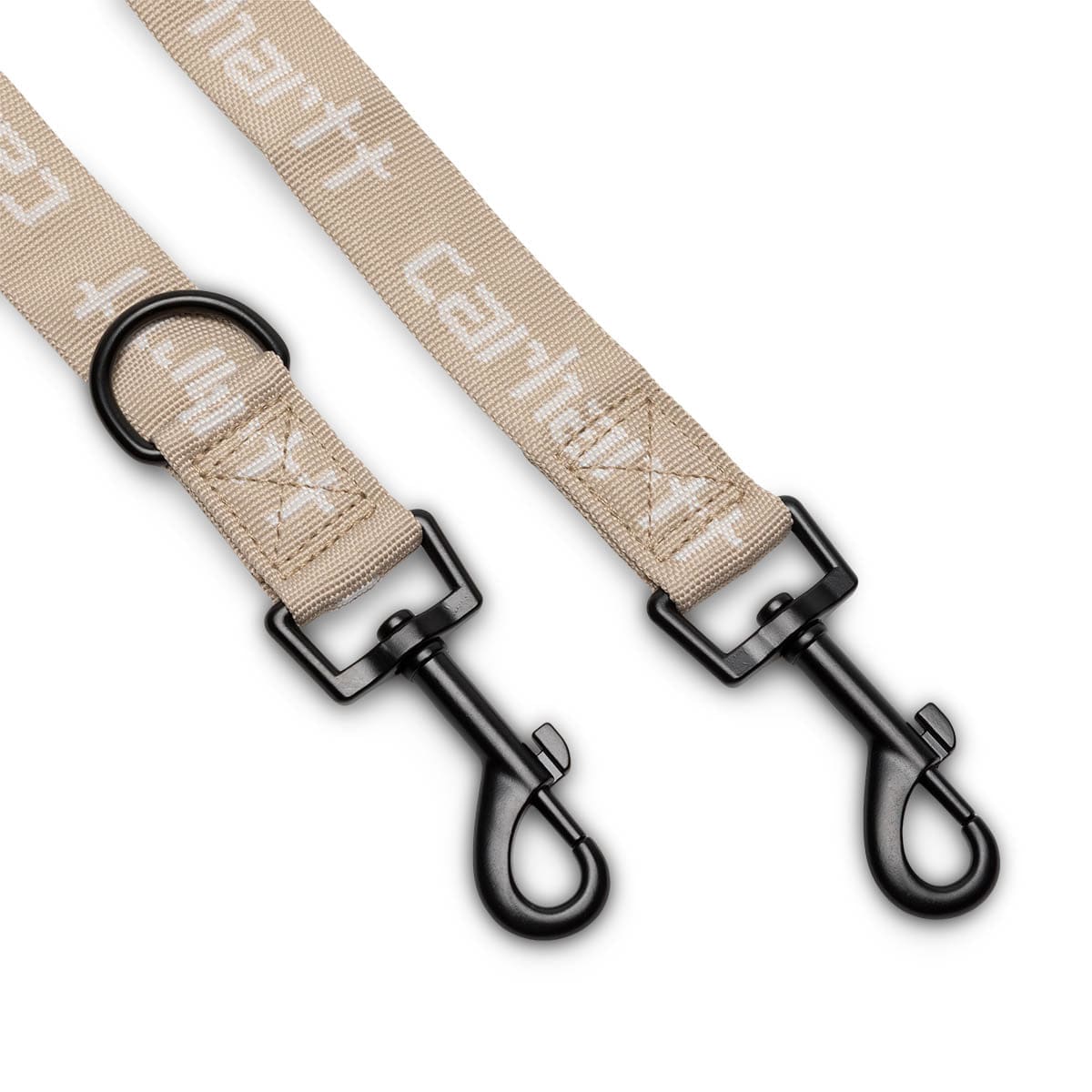 SCRIPT DOG LEASH & COLLAR