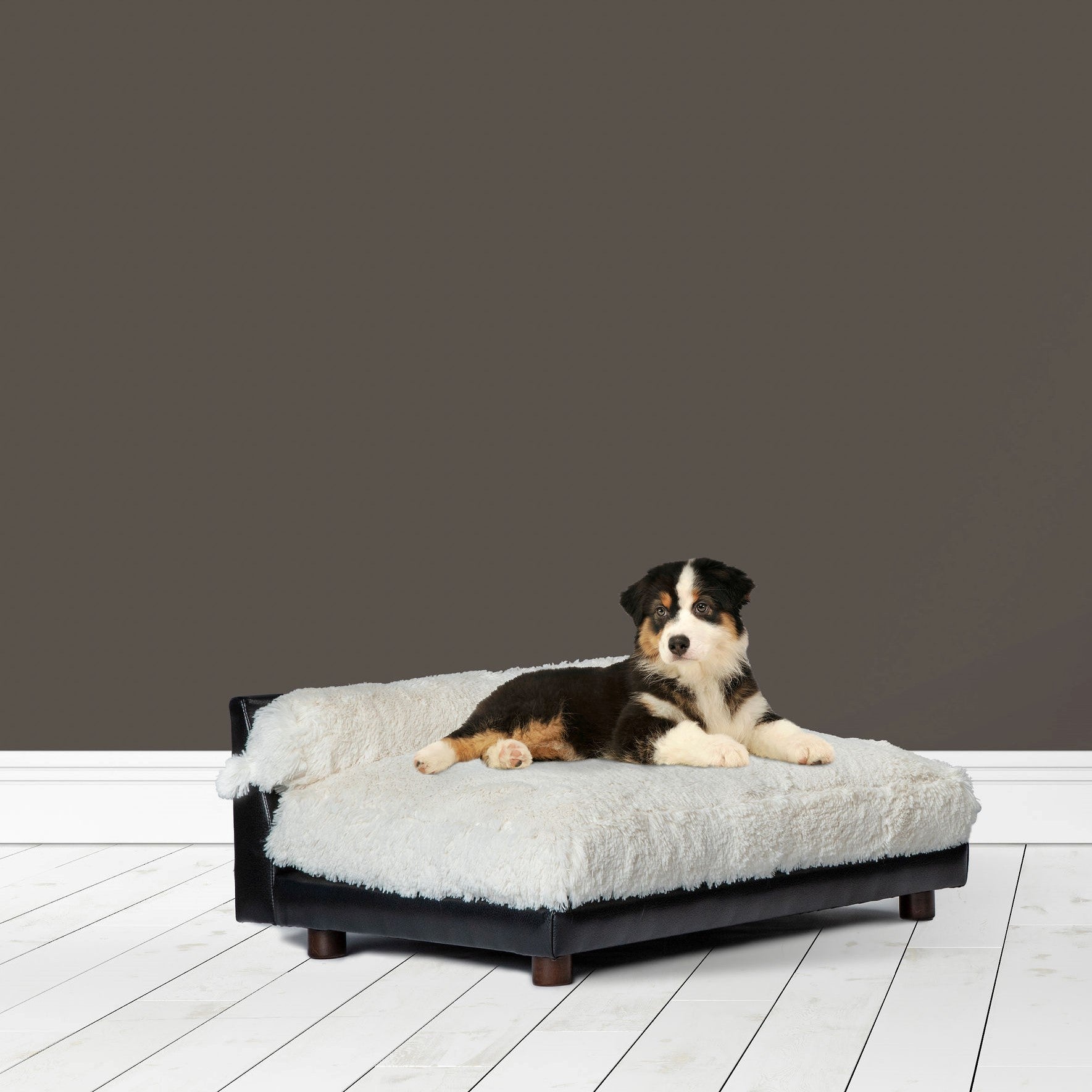 Club Nine Pets Roma Orthopedic Dog Bed， Small， Ivory