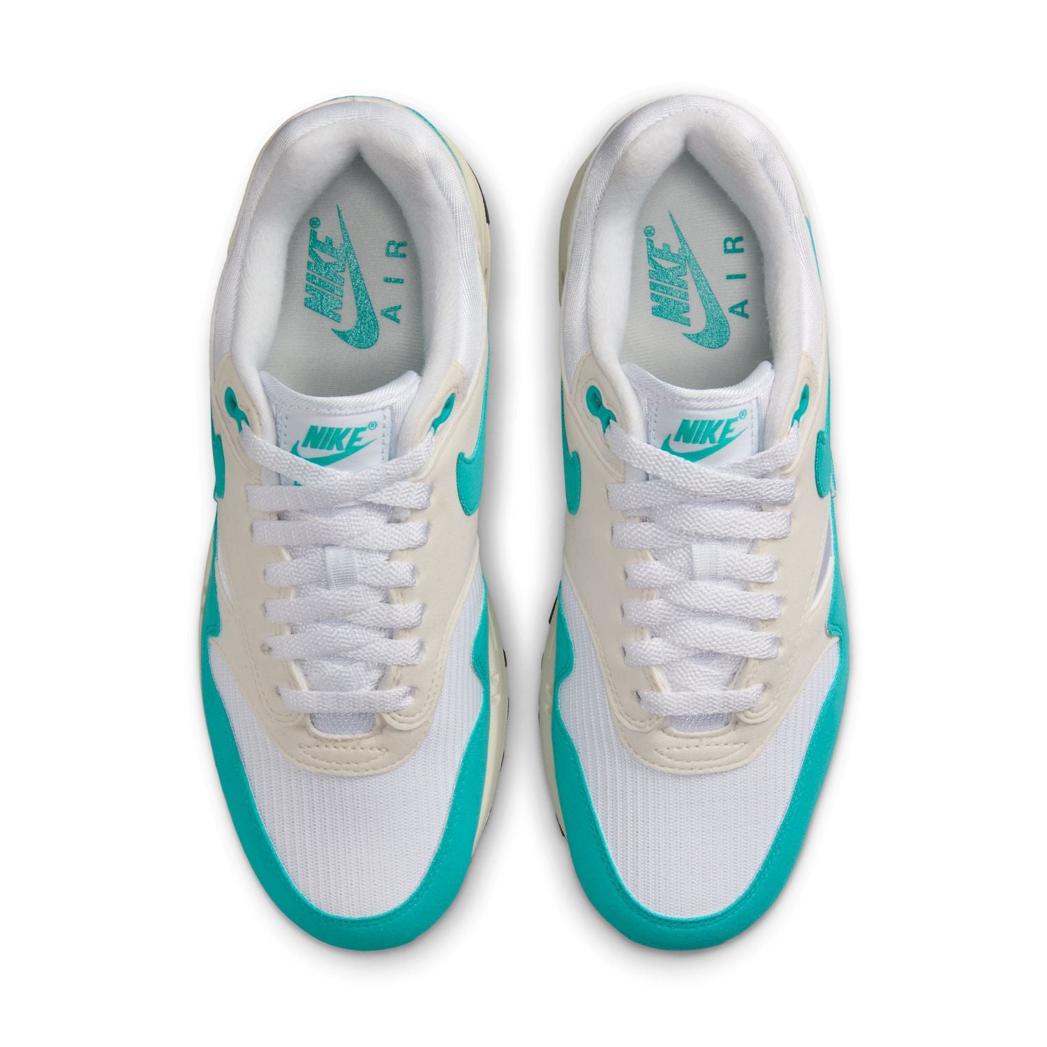 Wmns Air Max 1 'Dusty Cactus'