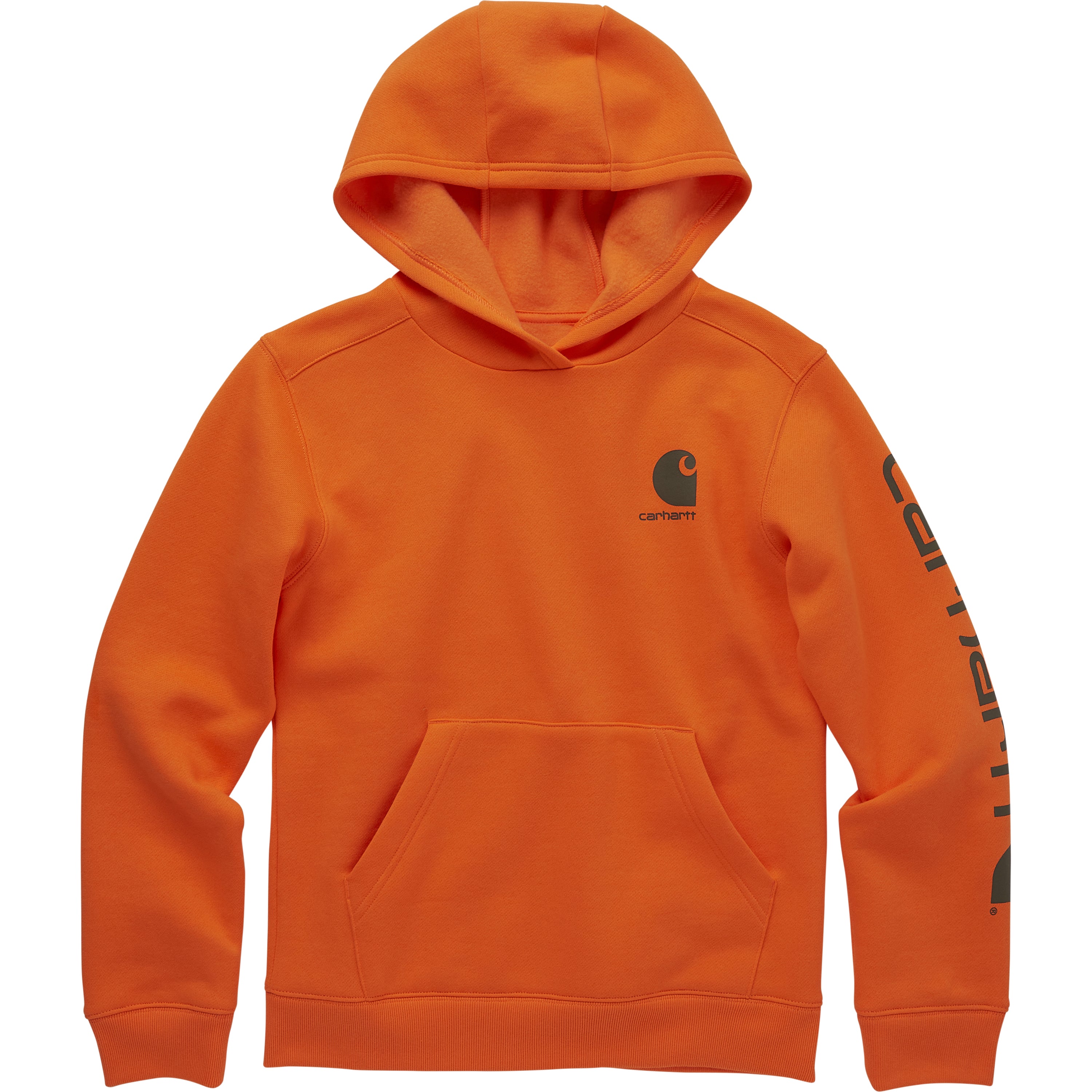 Carhartt Kid's Long Sleeve Graphic Hooded Sweatshirt