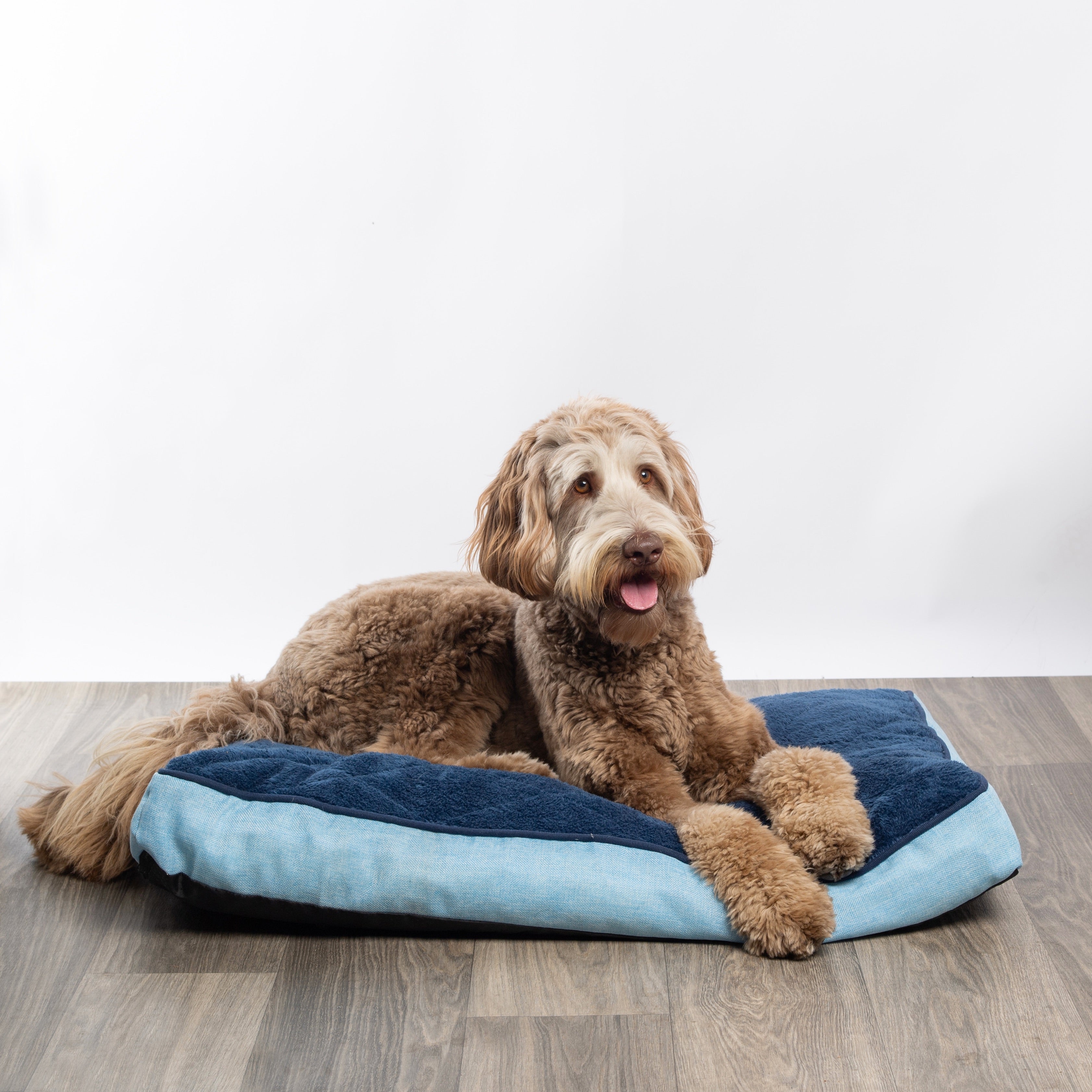 Modern Threads Large Orthopedic Memory Foam Plush Pillow Dog Bed， Linen， Blue