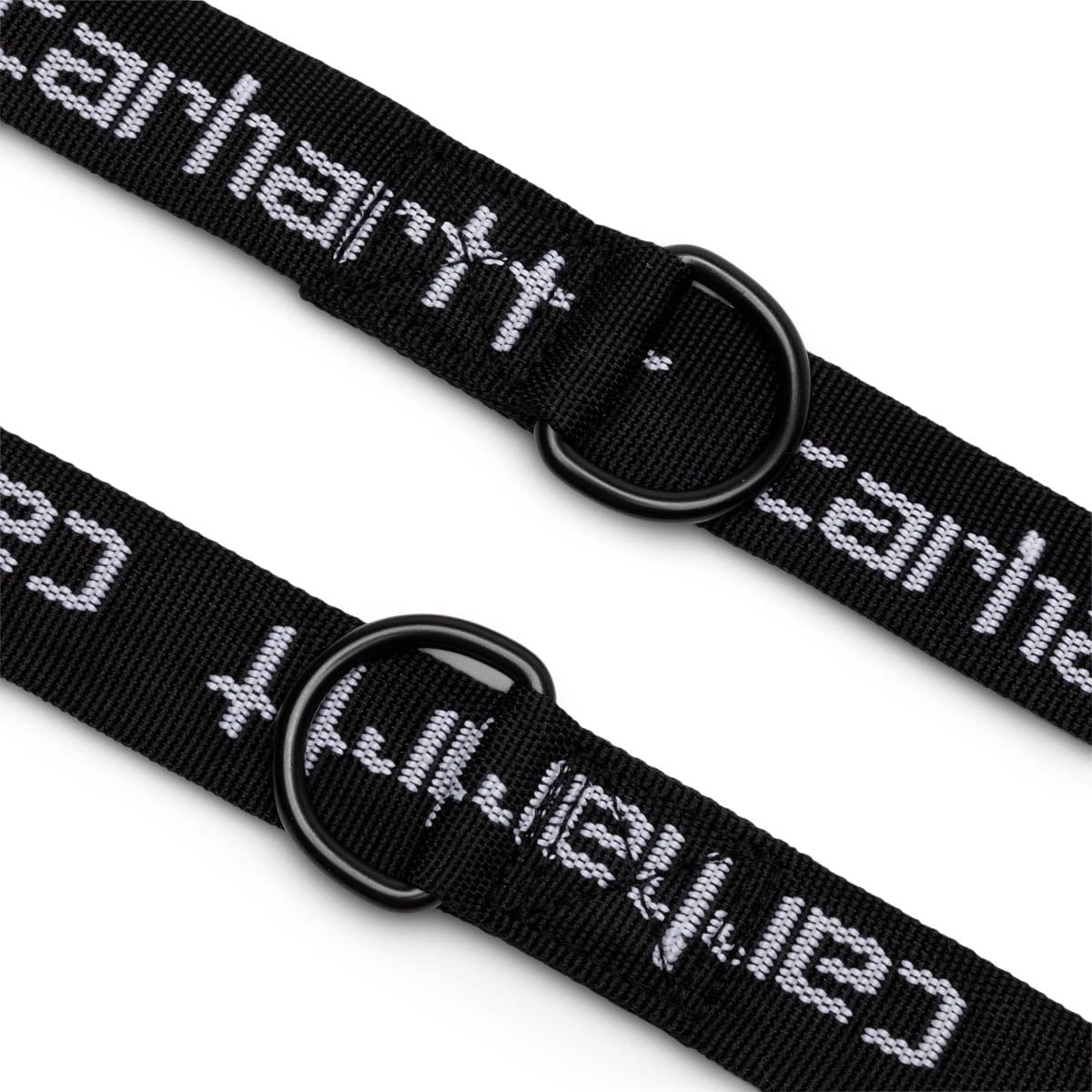 SCRIPT DOG LEASH & COLLAR