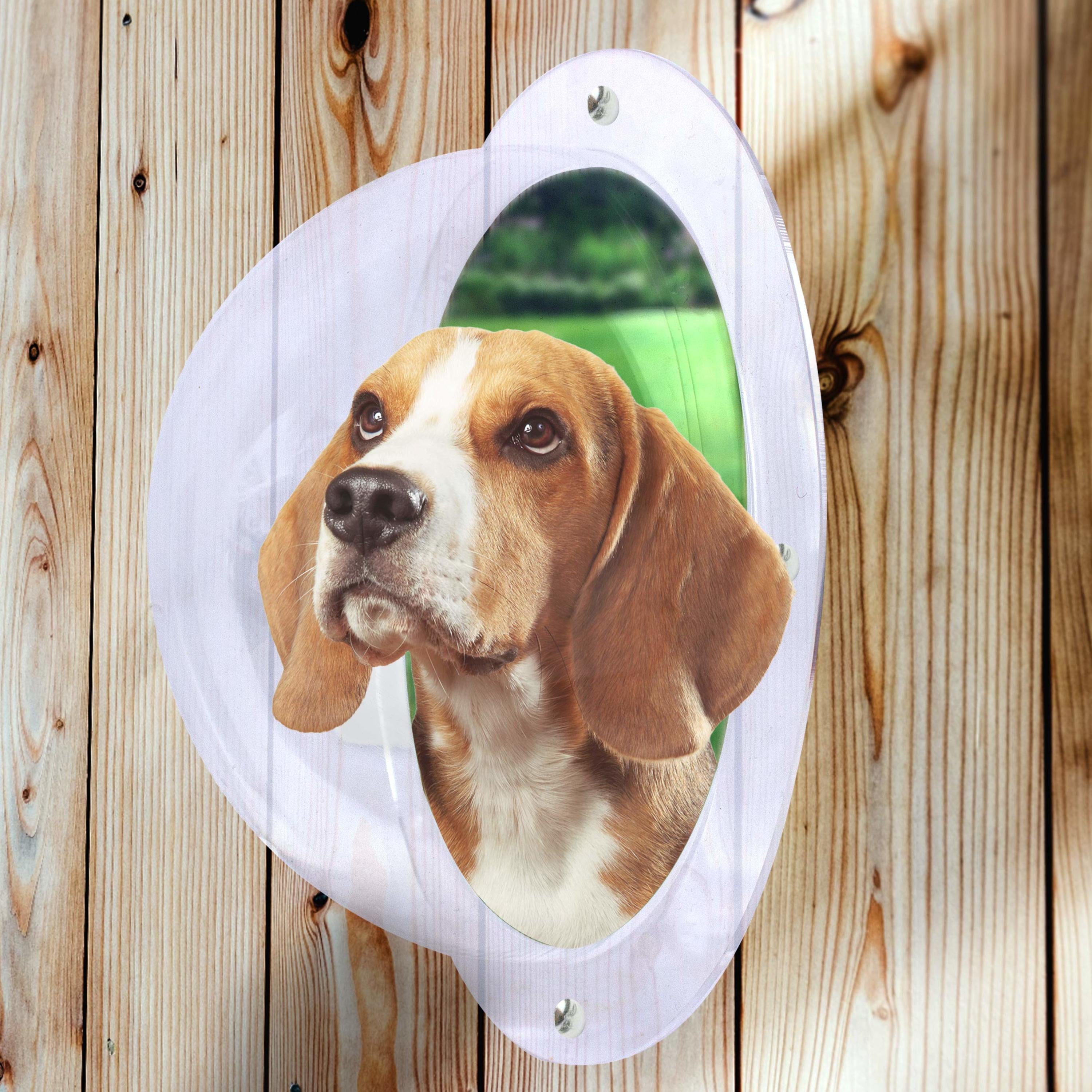 Downtown Pet Supply Dog Fence Window， Dome Dog Window for Fence， Clear