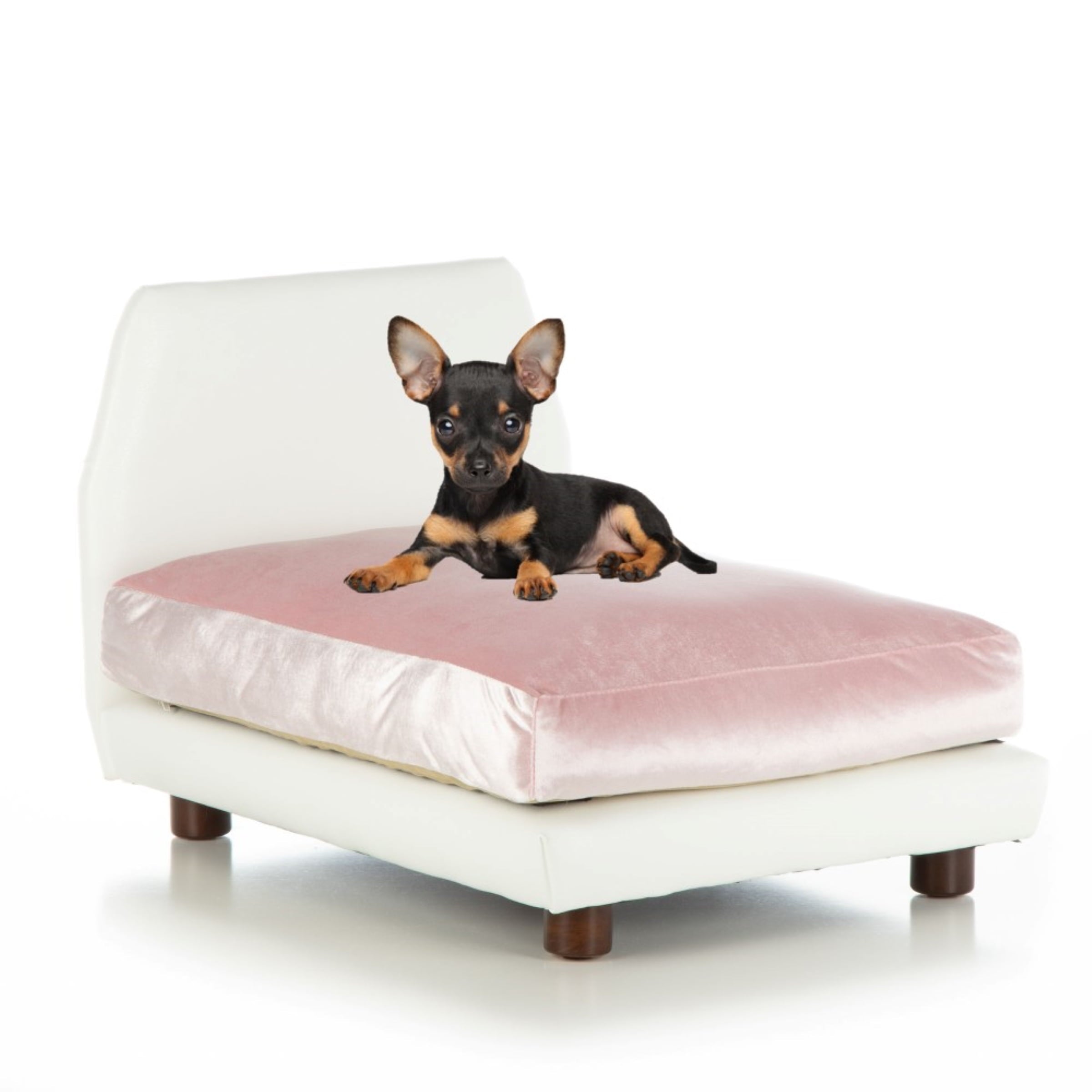 Club Nine Pets Lido Orthopedic Dog Bed， Medium， Pink.