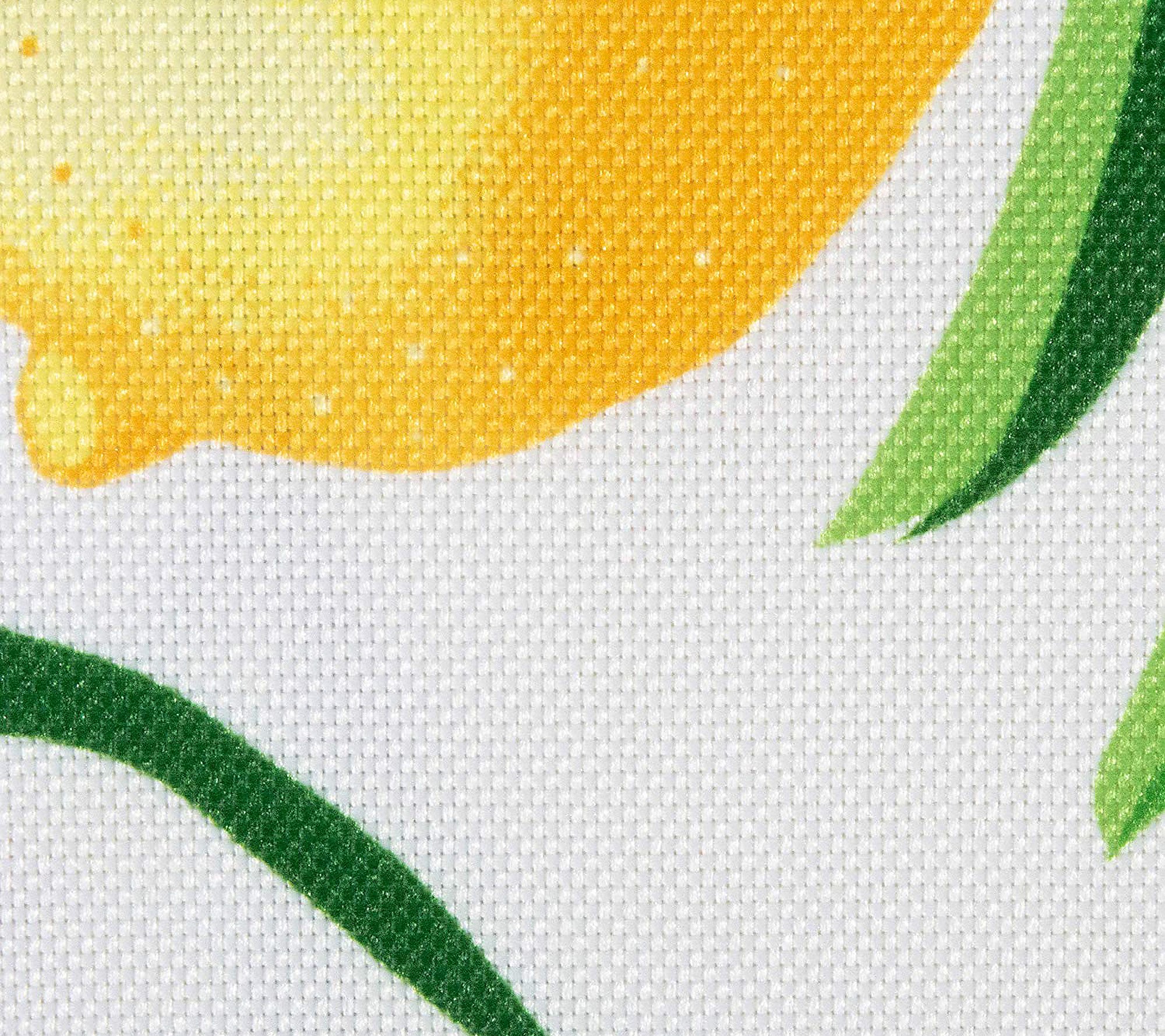 Design Imports Set of 6 Lemon Bliss Print Outdoor Placemats