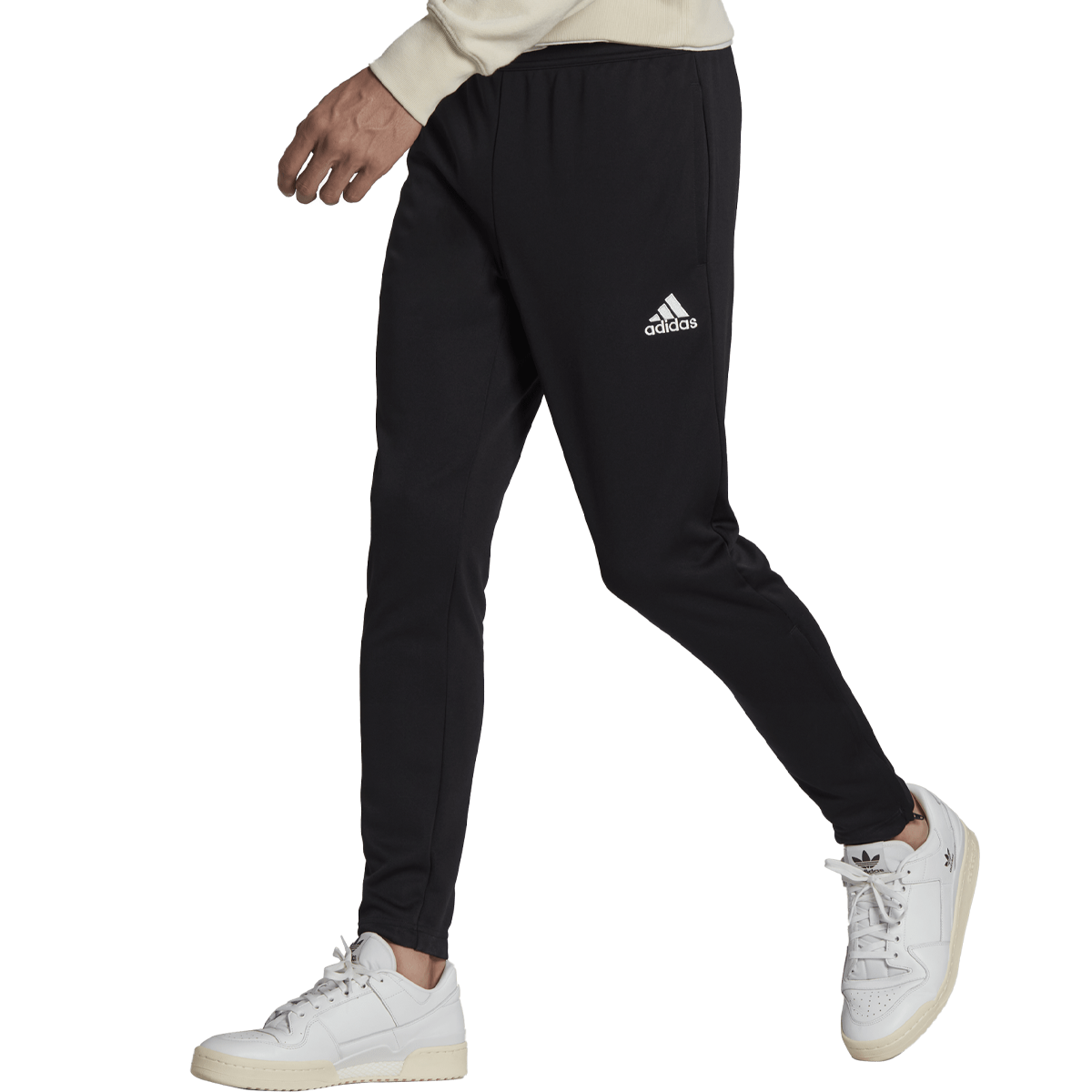 Men's Entrada 22 Track Pant