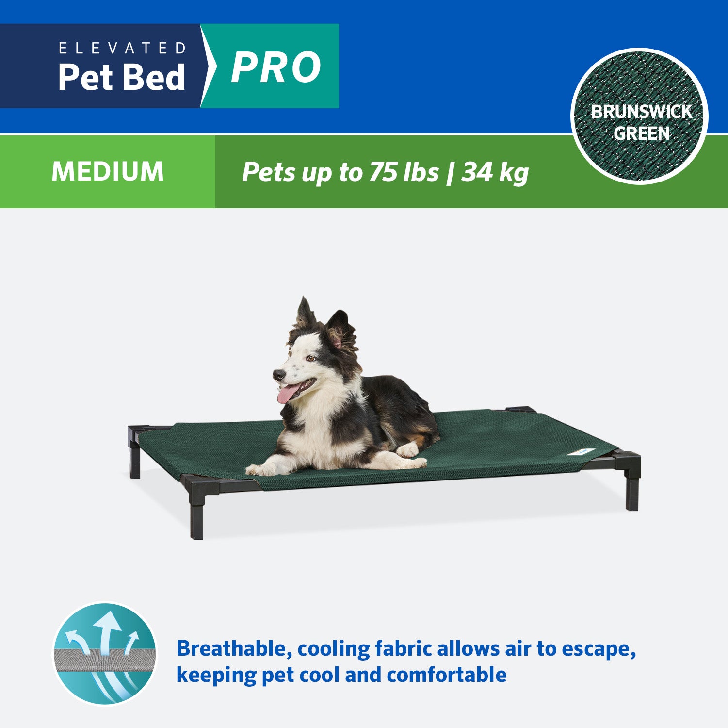 Coolaroo Cooling Elevated Dog Bed Pro， Medium， Fits in 42in Crates， Brunswick Green