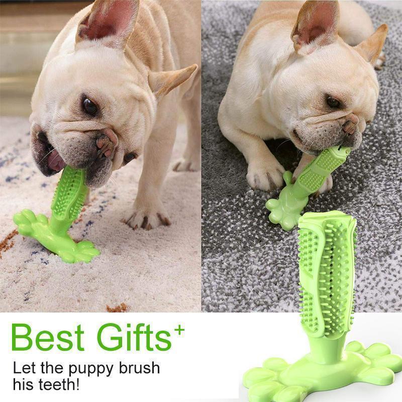 Dog Toothbrush