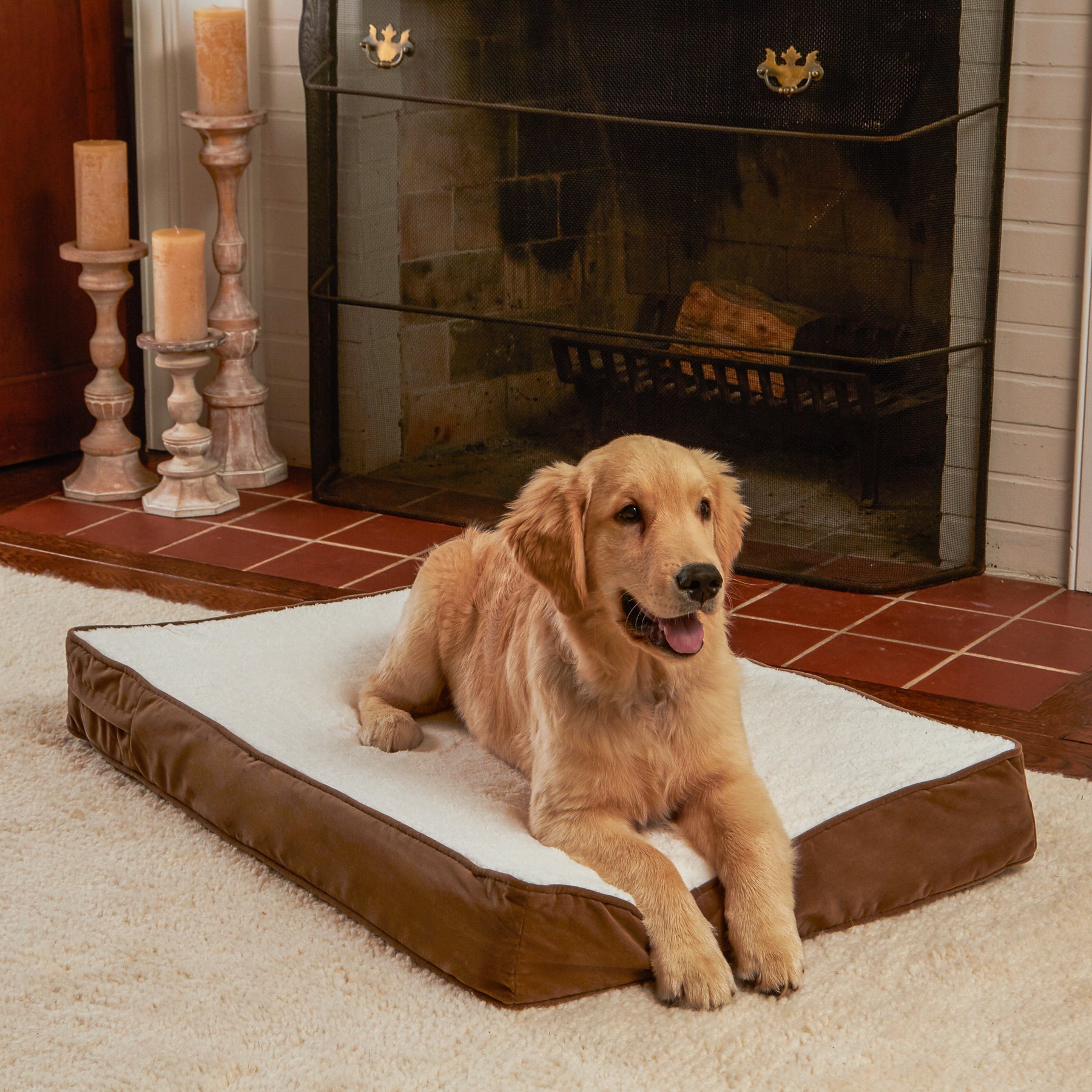 Happy Hounds Oscar Sherpa Orthopedic Dog Bed， Latte， Small (36 x 24 in.)