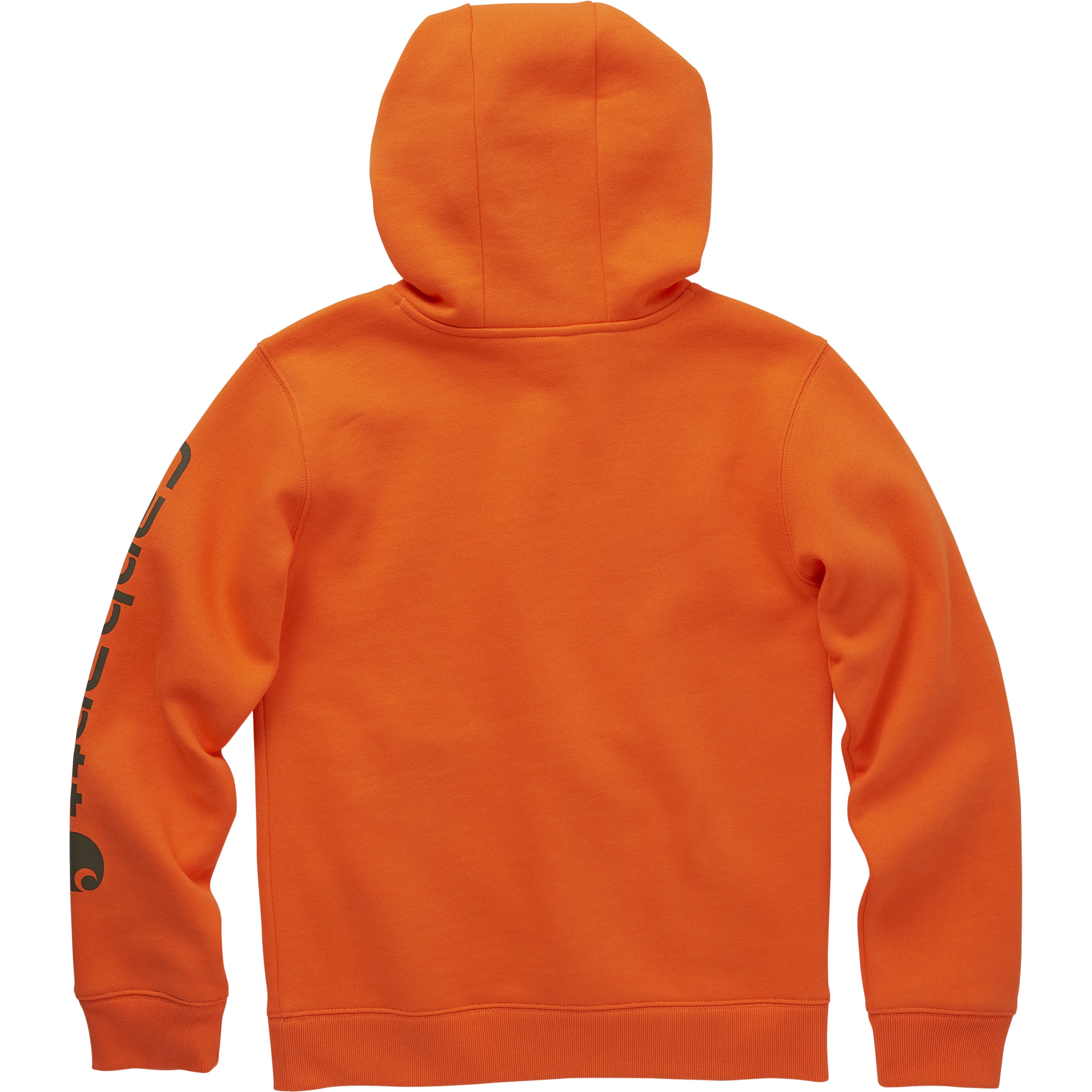 Carhartt Kid's Long Sleeve Graphic Hooded Sweatshirt