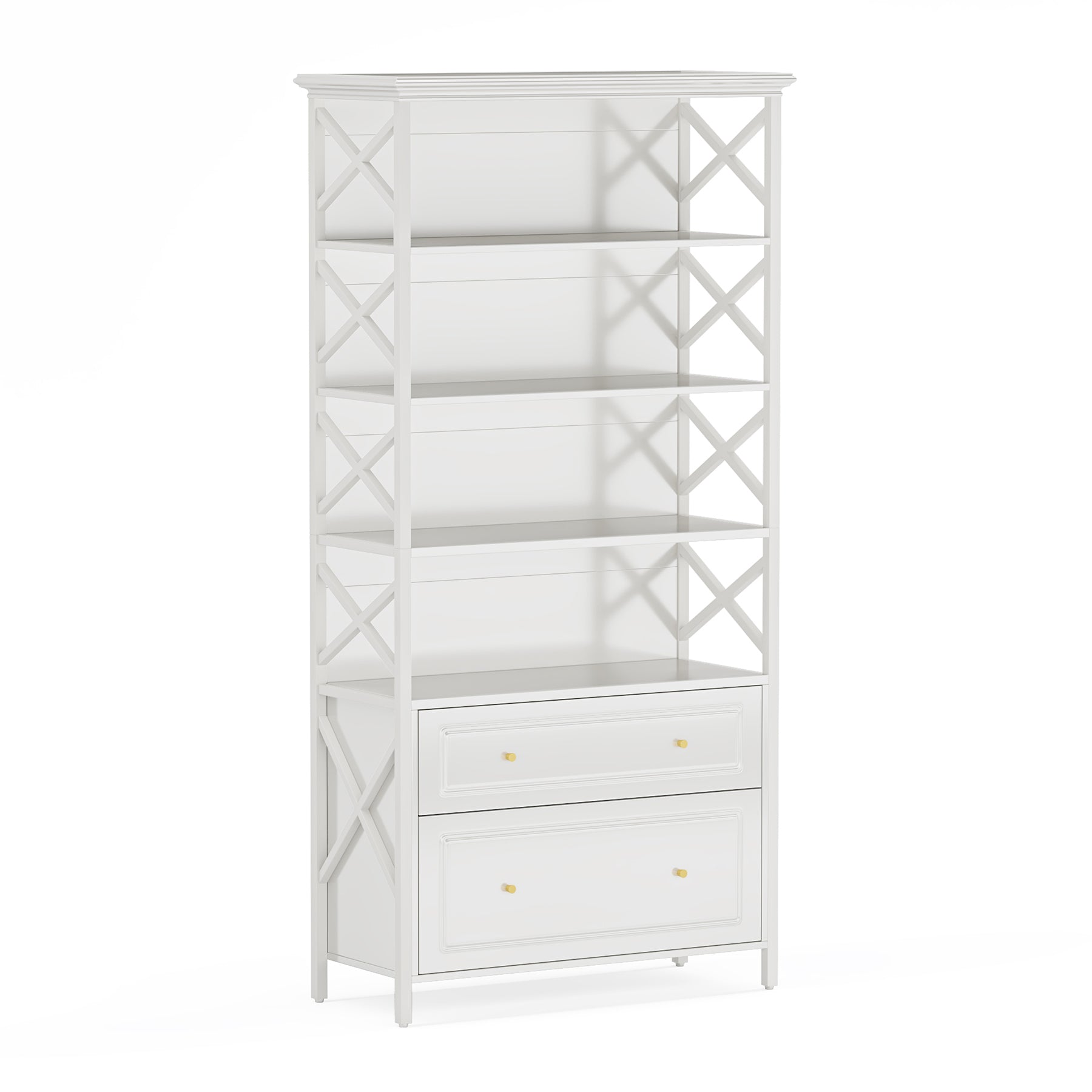 2-Drawer File Cabinet, Vertical Filling Cabinet with Storage Shelves