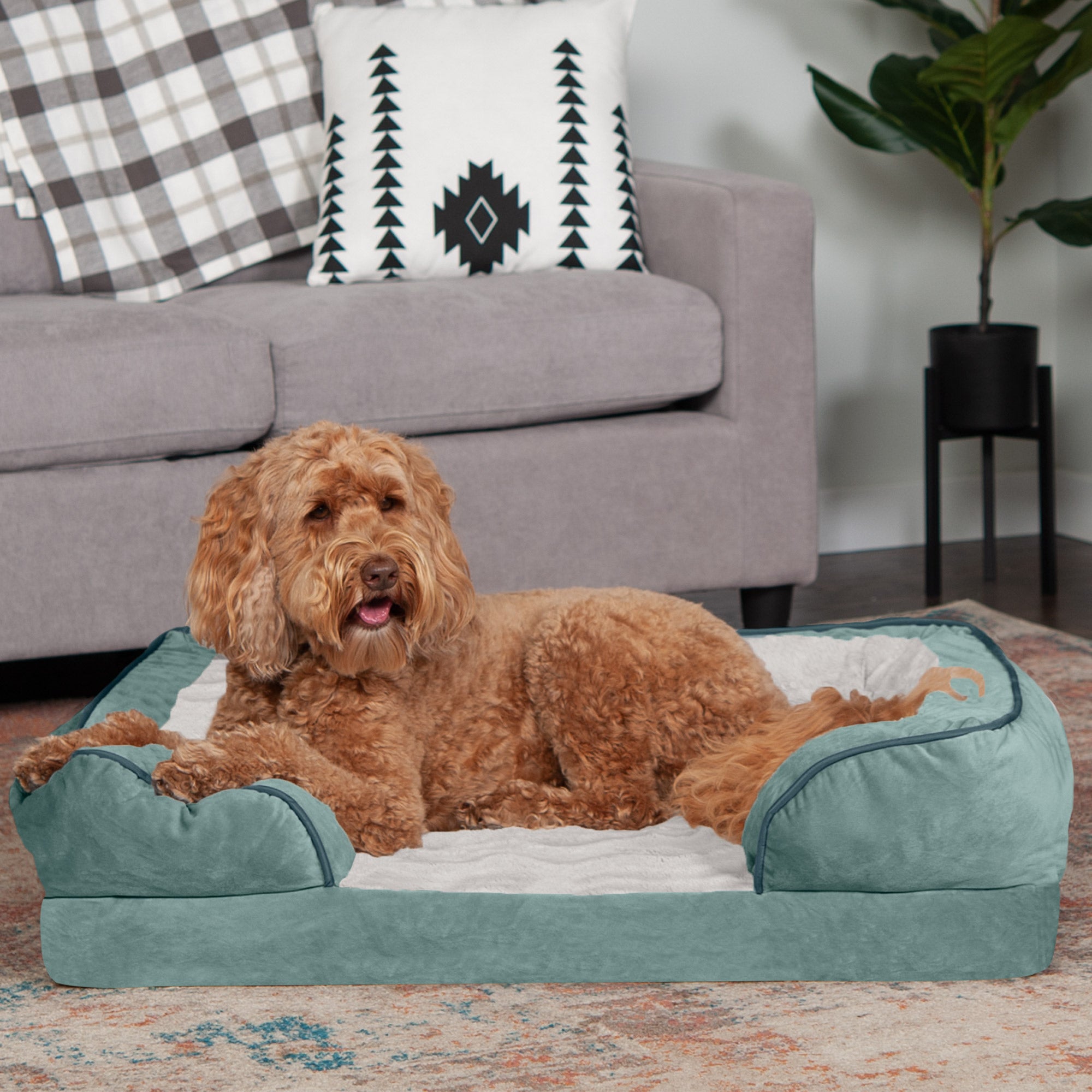 FurHaven Pet Products | Full Support Orthopedic Perfect Comfort Velvet Waves Sofa Pet Bed Dogs and Cats - Celadon Green， Large